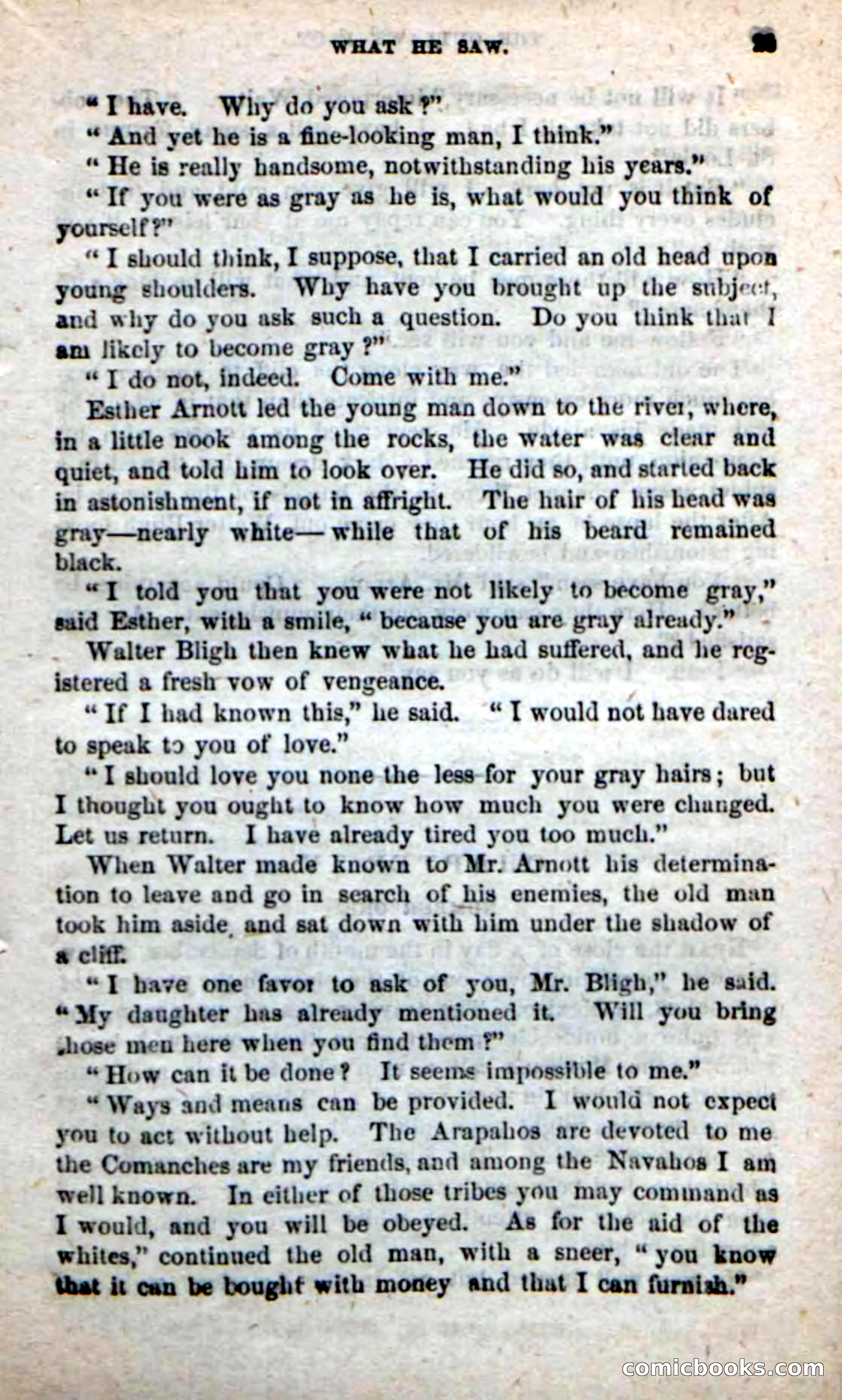 Beadle's New Dime Novels: Alone on the Plains — page 23 of 98