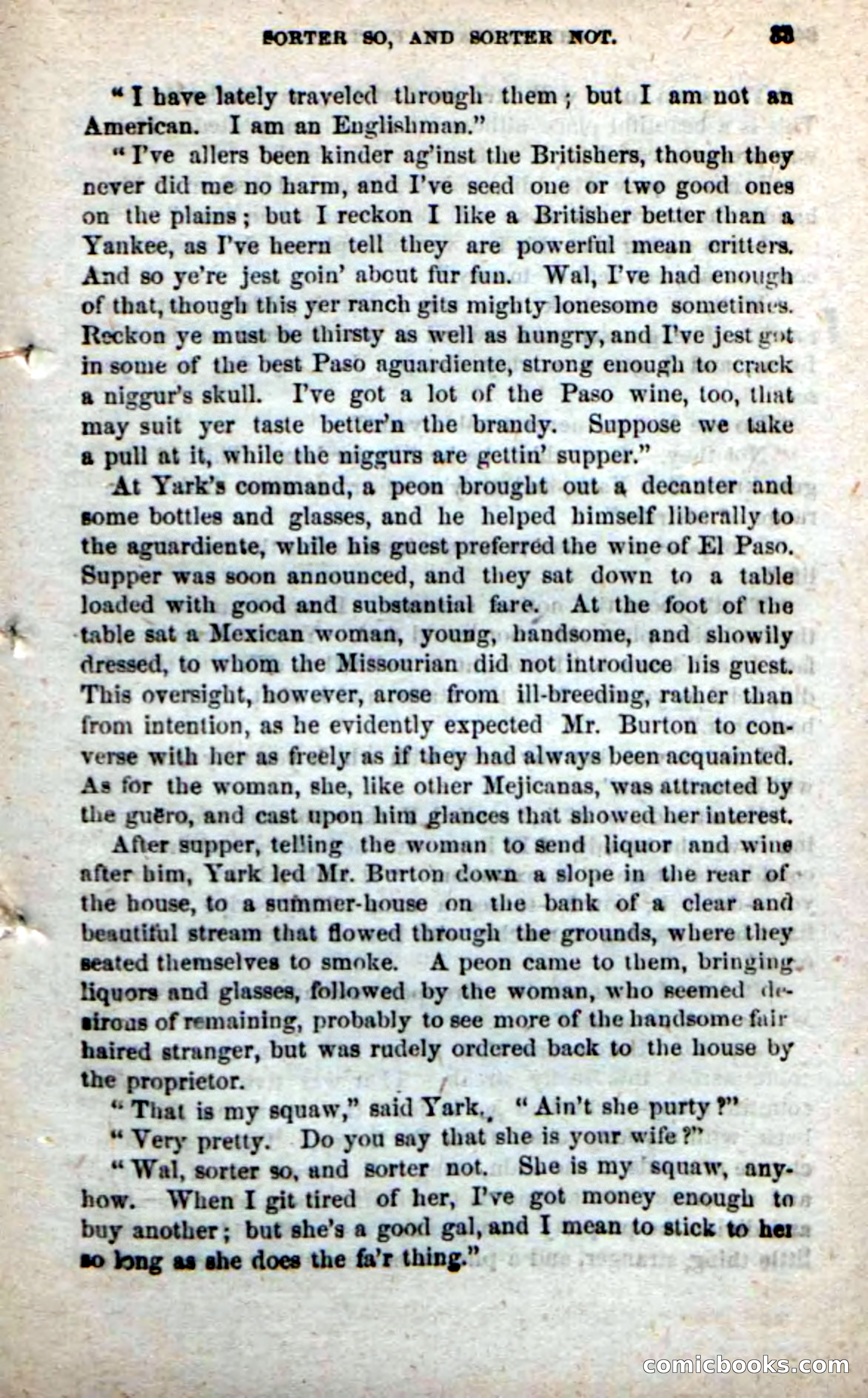 Beadle's New Dime Novels: Alone on the Plains — page 27 of 98
