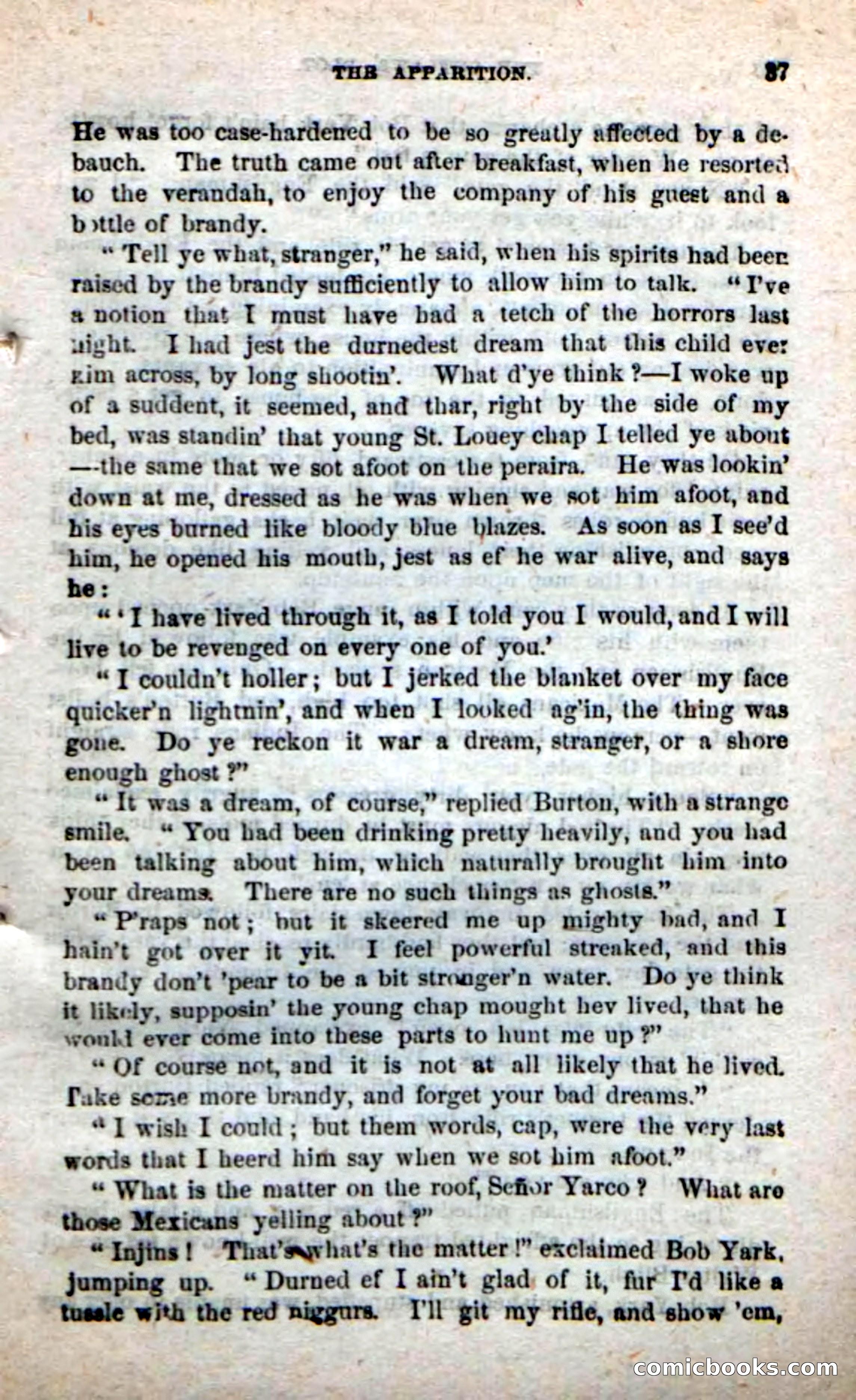 Beadle's New Dime Novels: Alone on the Plains — page 31 of 98