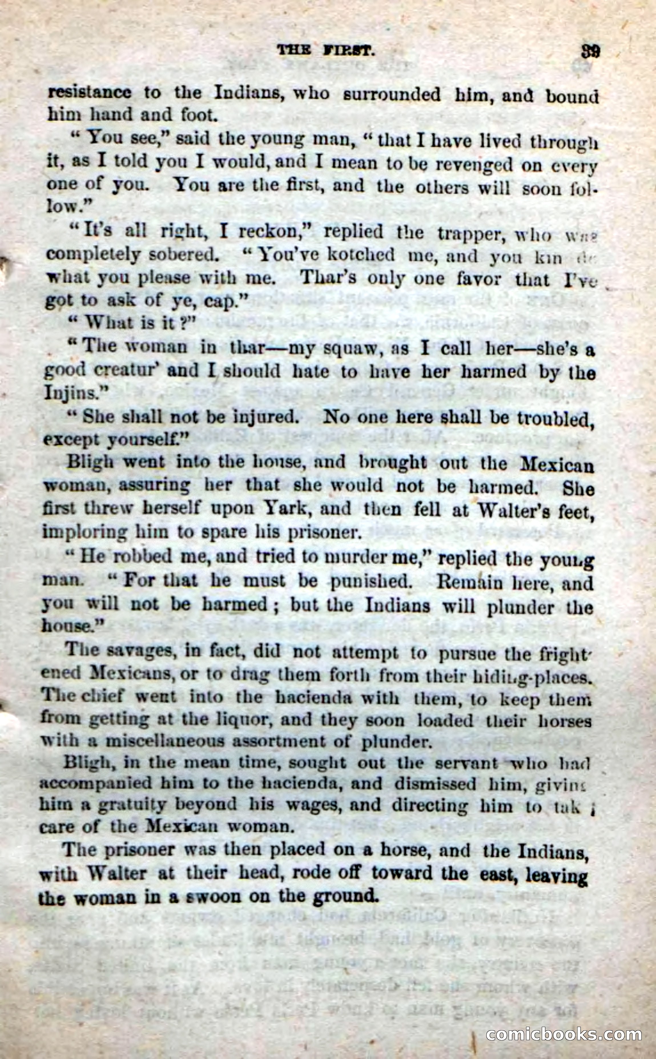 Beadle's New Dime Novels: Alone on the Plains — page 33 of 98