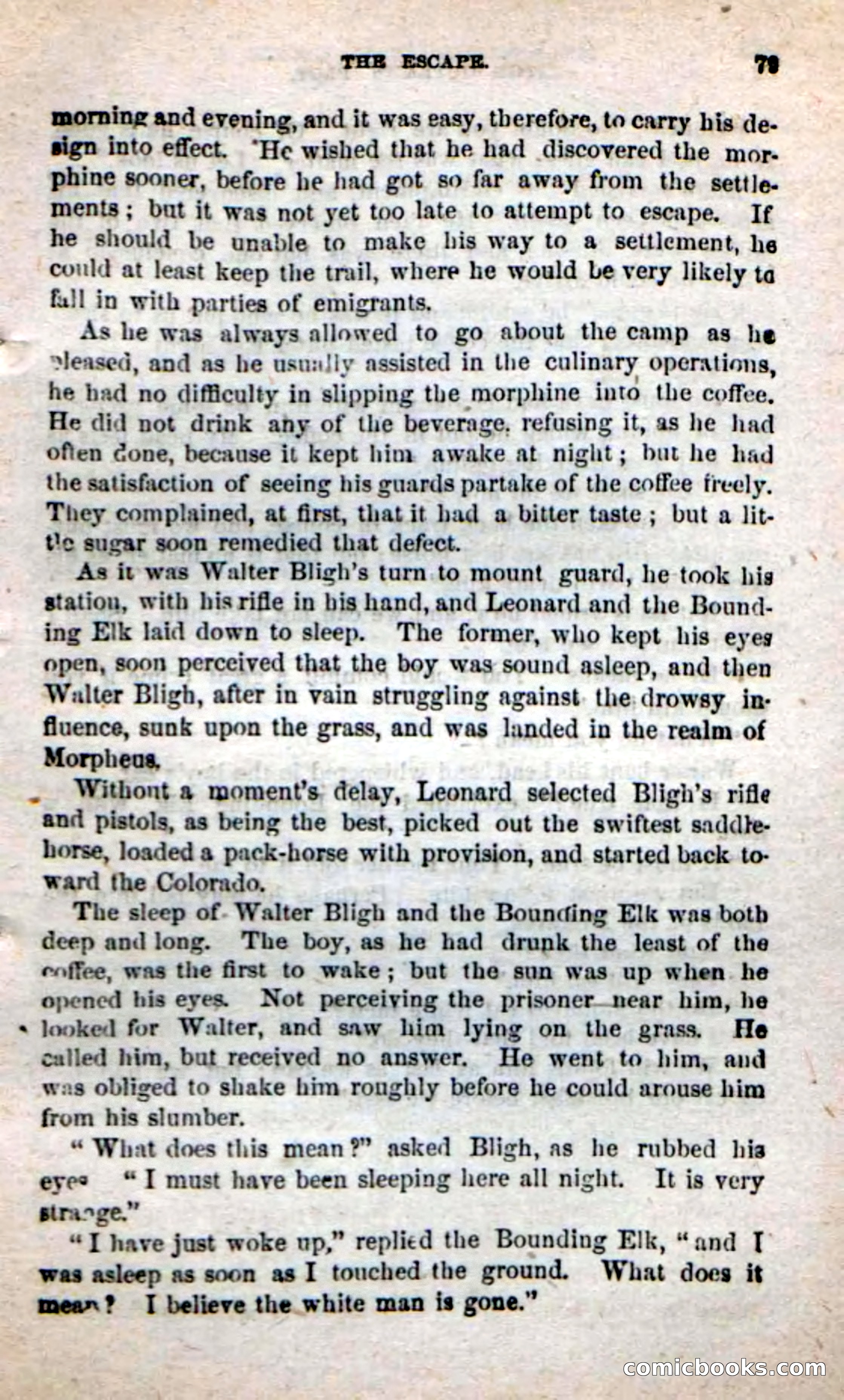 Beadle's New Dime Novels: Alone on the Plains — page 73 of 98