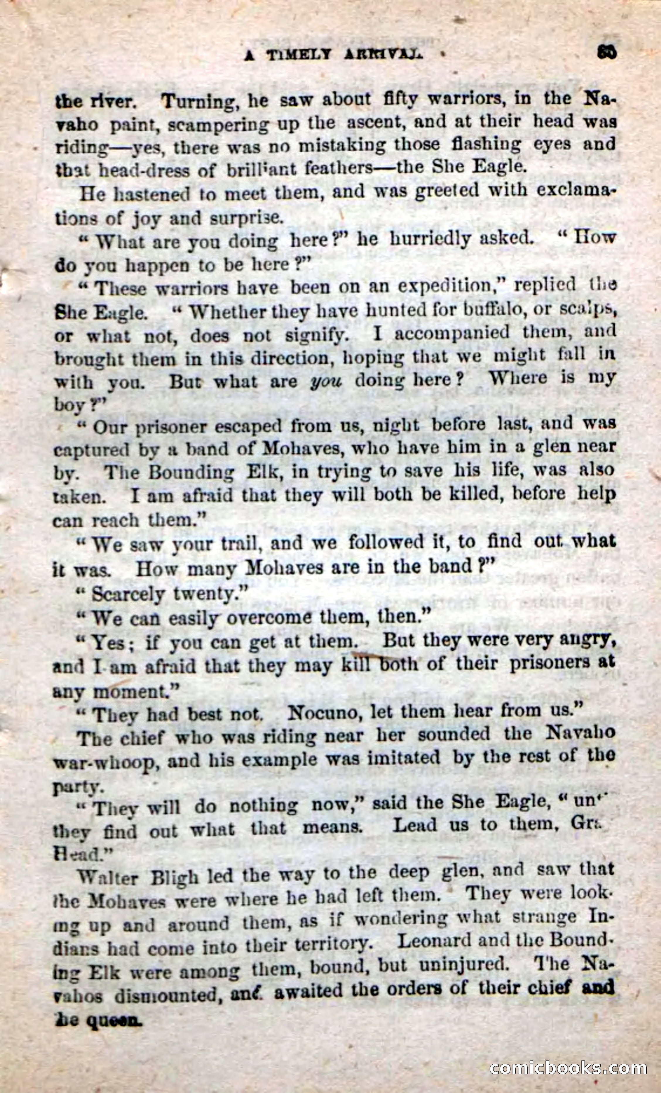 Beadle's New Dime Novels: Alone on the Plains — page 79 of 98