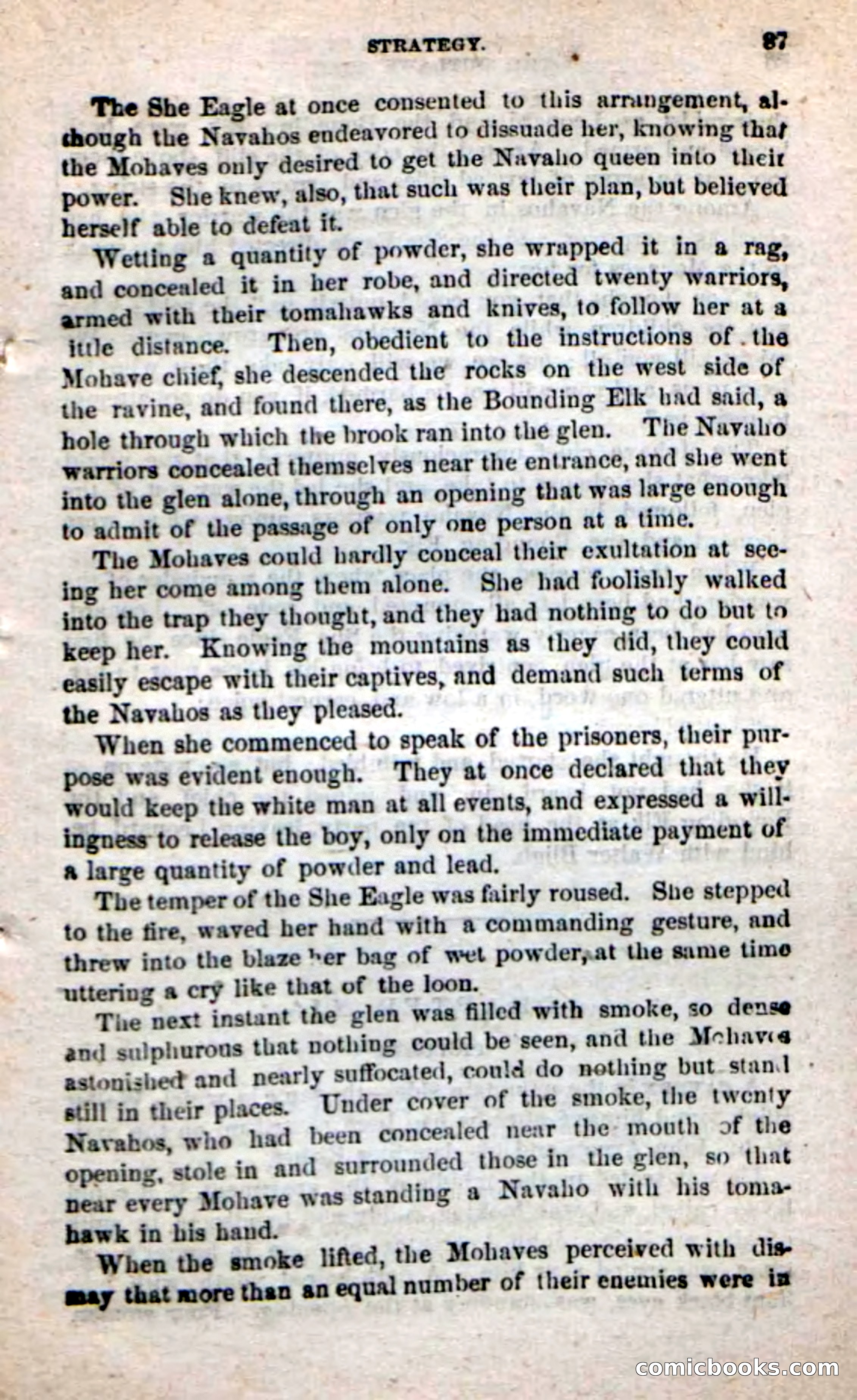 Beadle's New Dime Novels: Alone on the Plains — page 81 of 98
