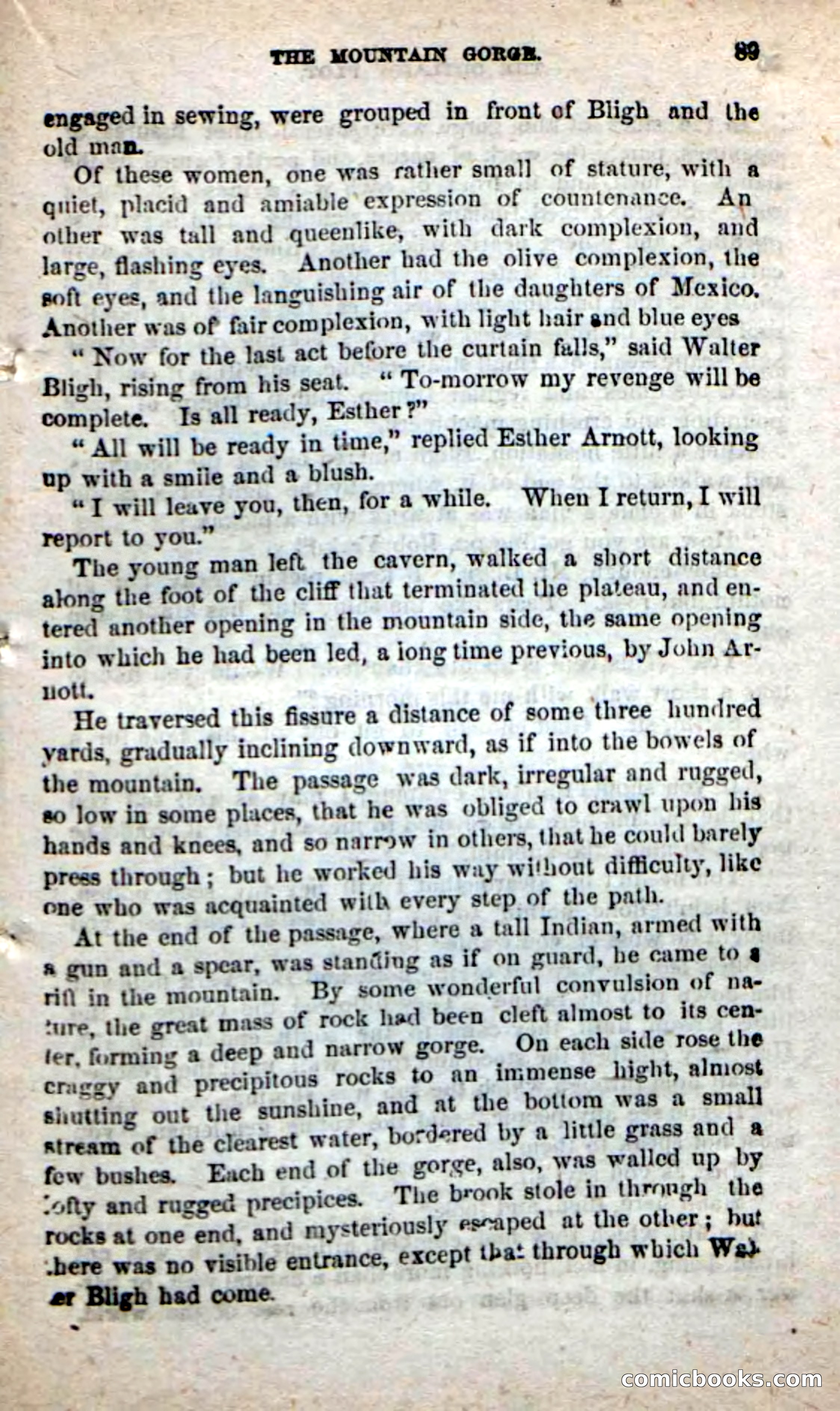 Beadle's New Dime Novels: Alone on the Plains — page 83 of 98