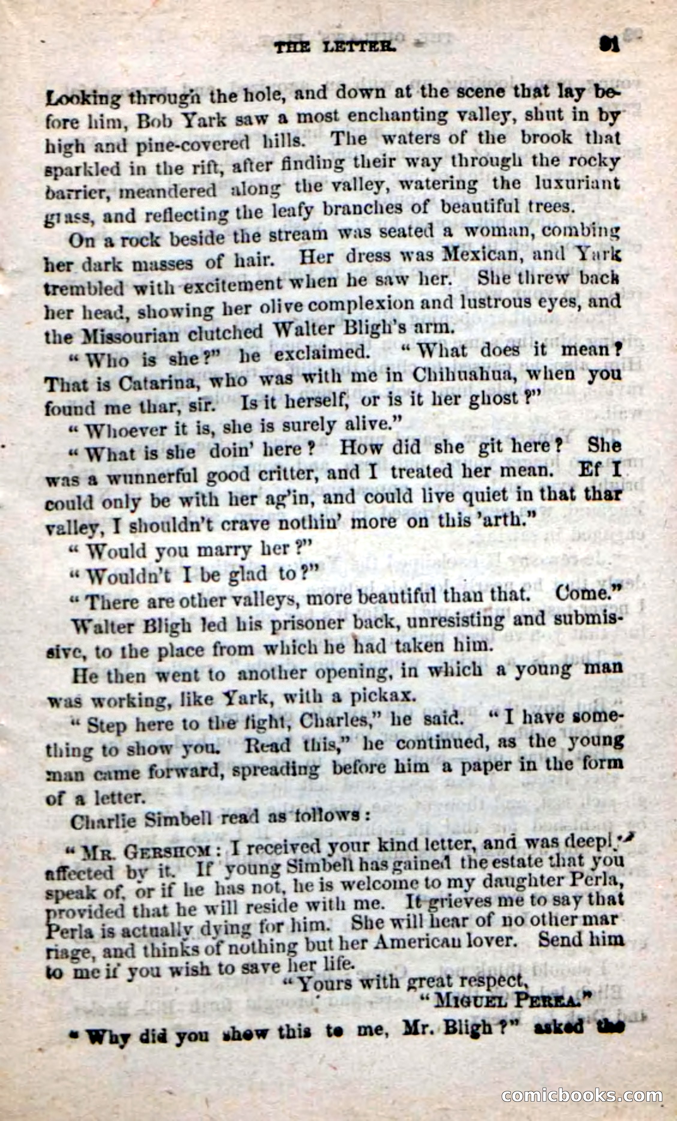 Beadle's New Dime Novels: Alone on the Plains — page 85 of 98