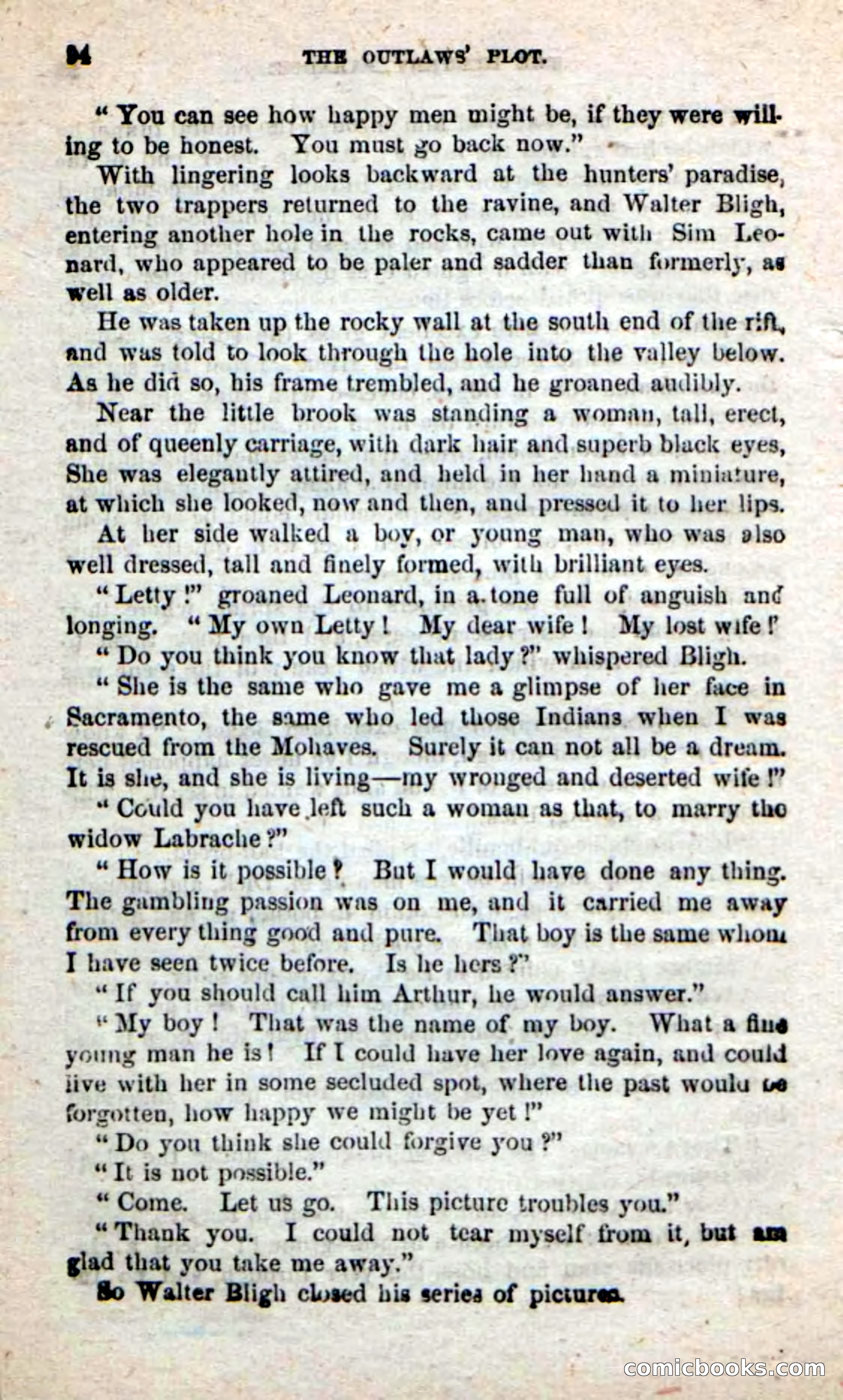 Beadle's New Dime Novels: Alone on the Plains — page 88 of 98