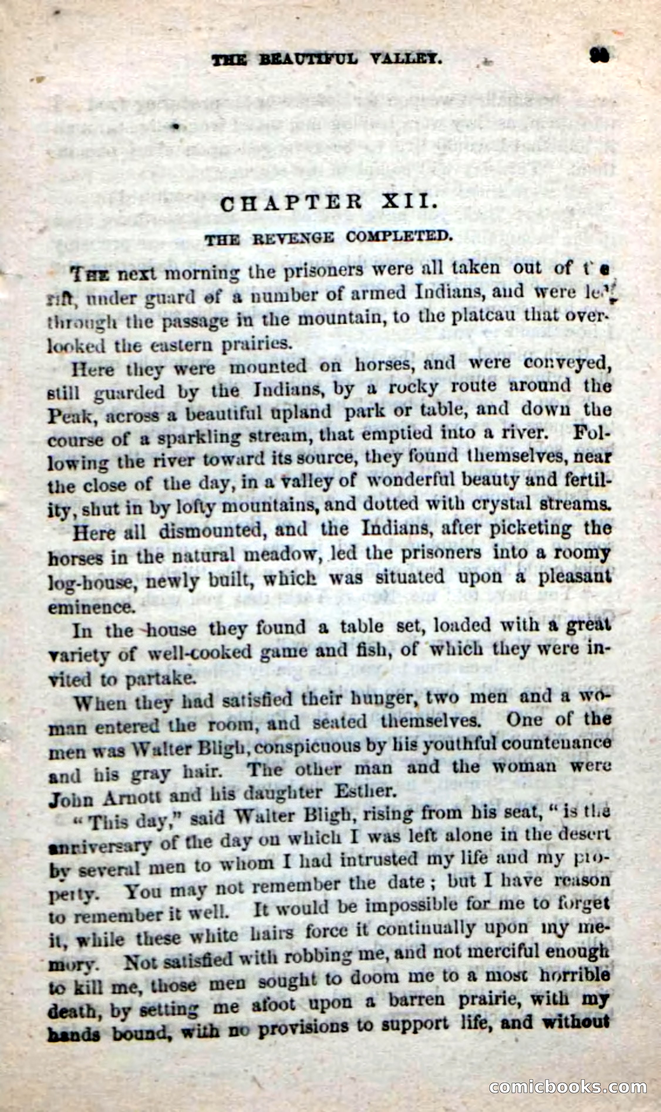 Beadle's New Dime Novels: Alone on the Plains — page 89 of 98