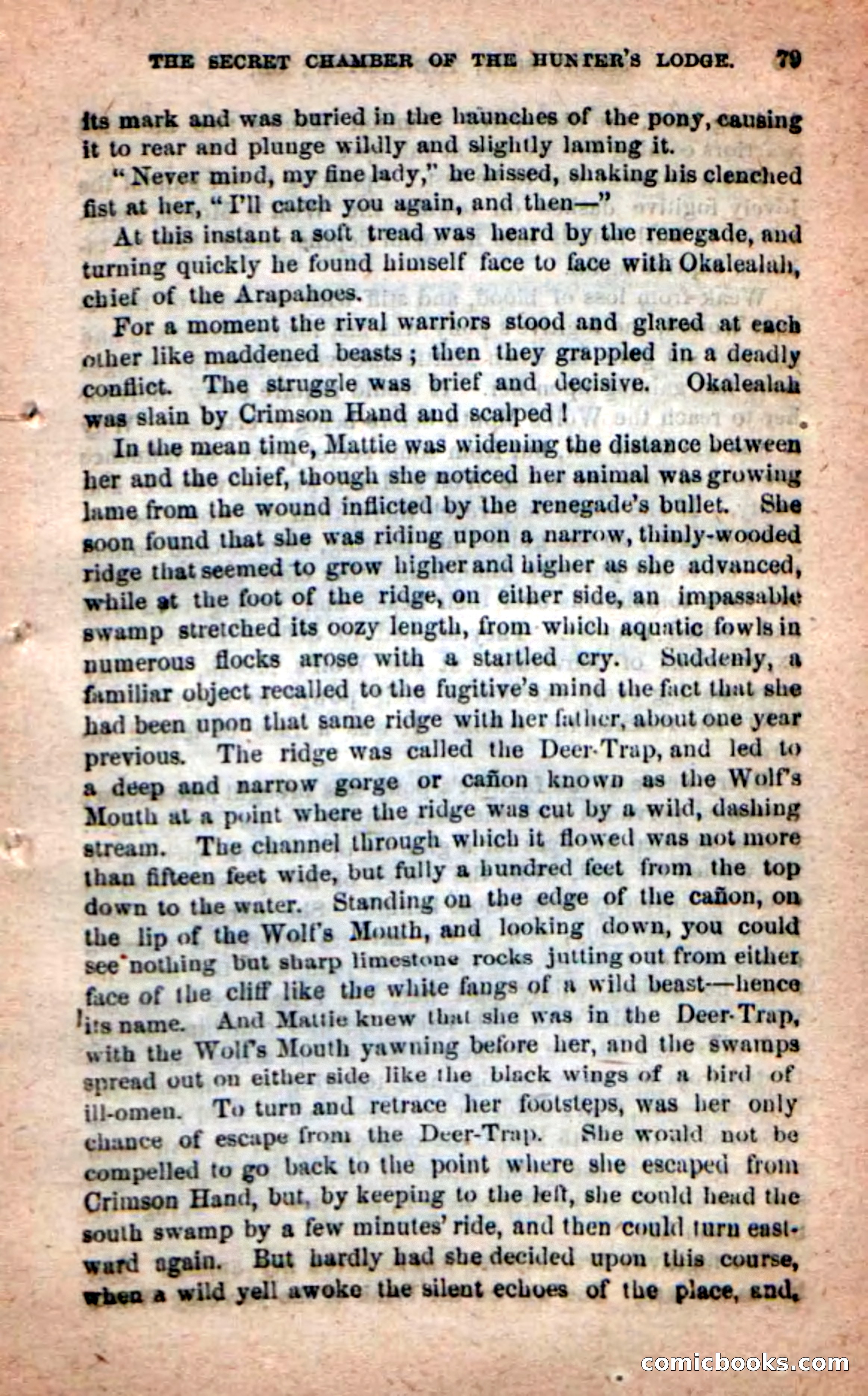 Silent Shot, the Slayer — page 75 of 100