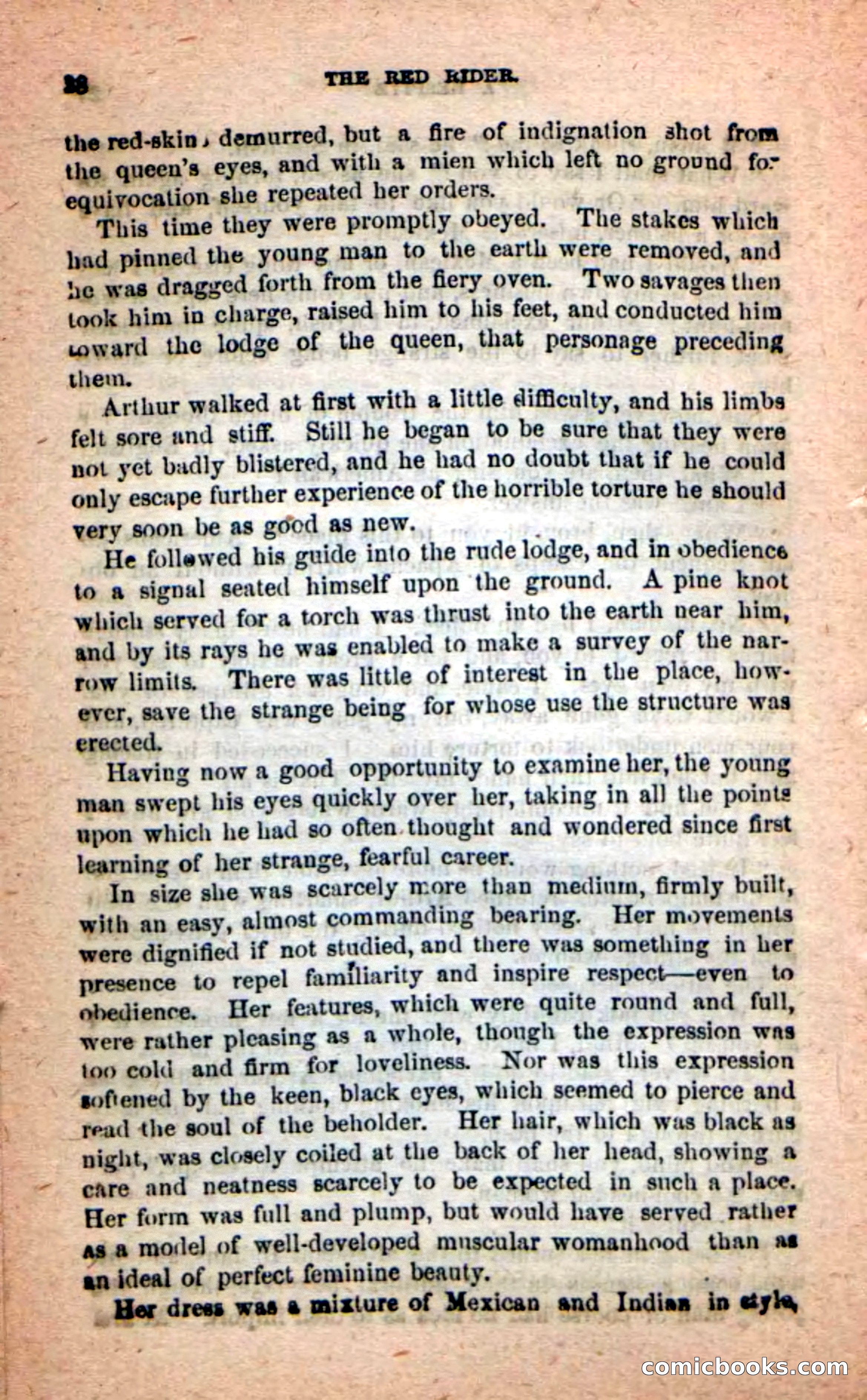 The Red Rider — page 24 of 100
