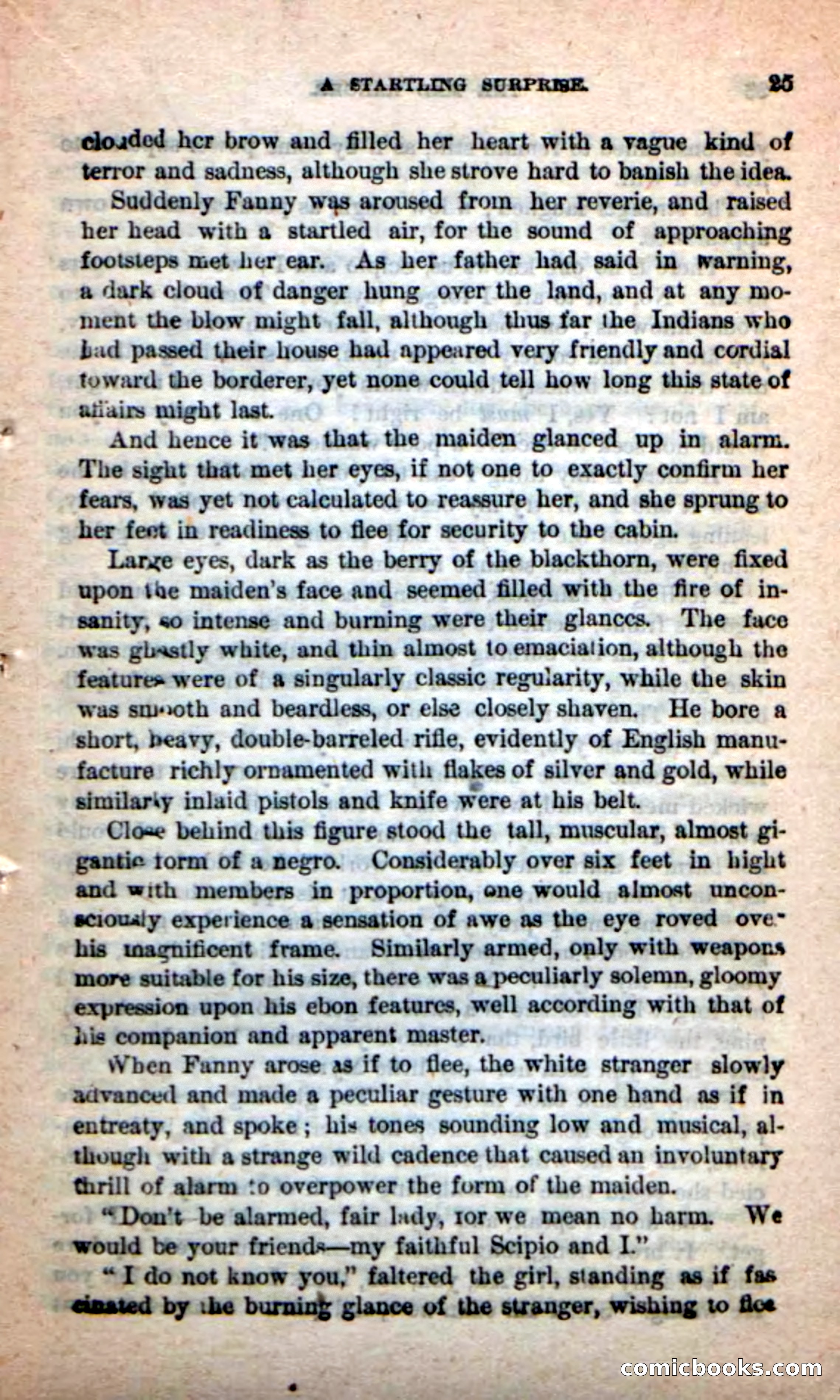 The Mad Ranger — page 21 of 100
