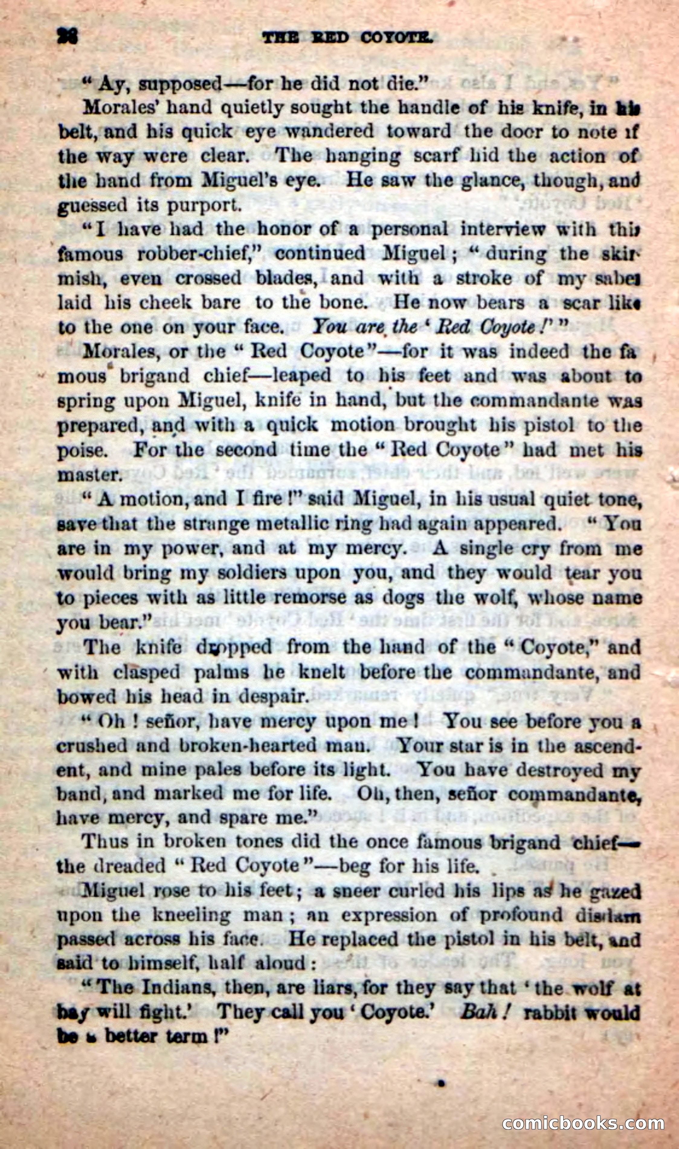 The Red Coyote — page 24 of 100