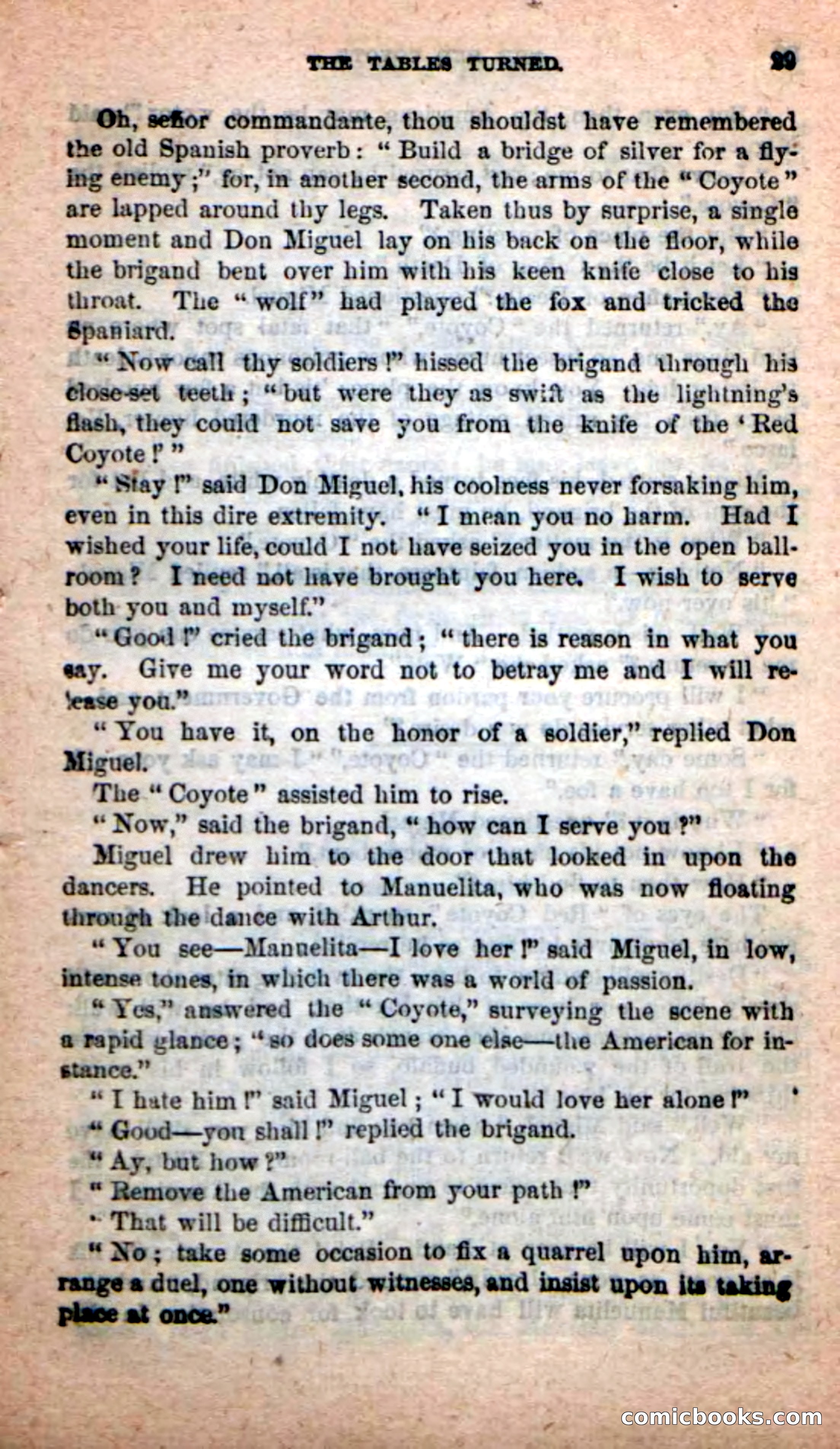 The Red Coyote — page 25 of 100