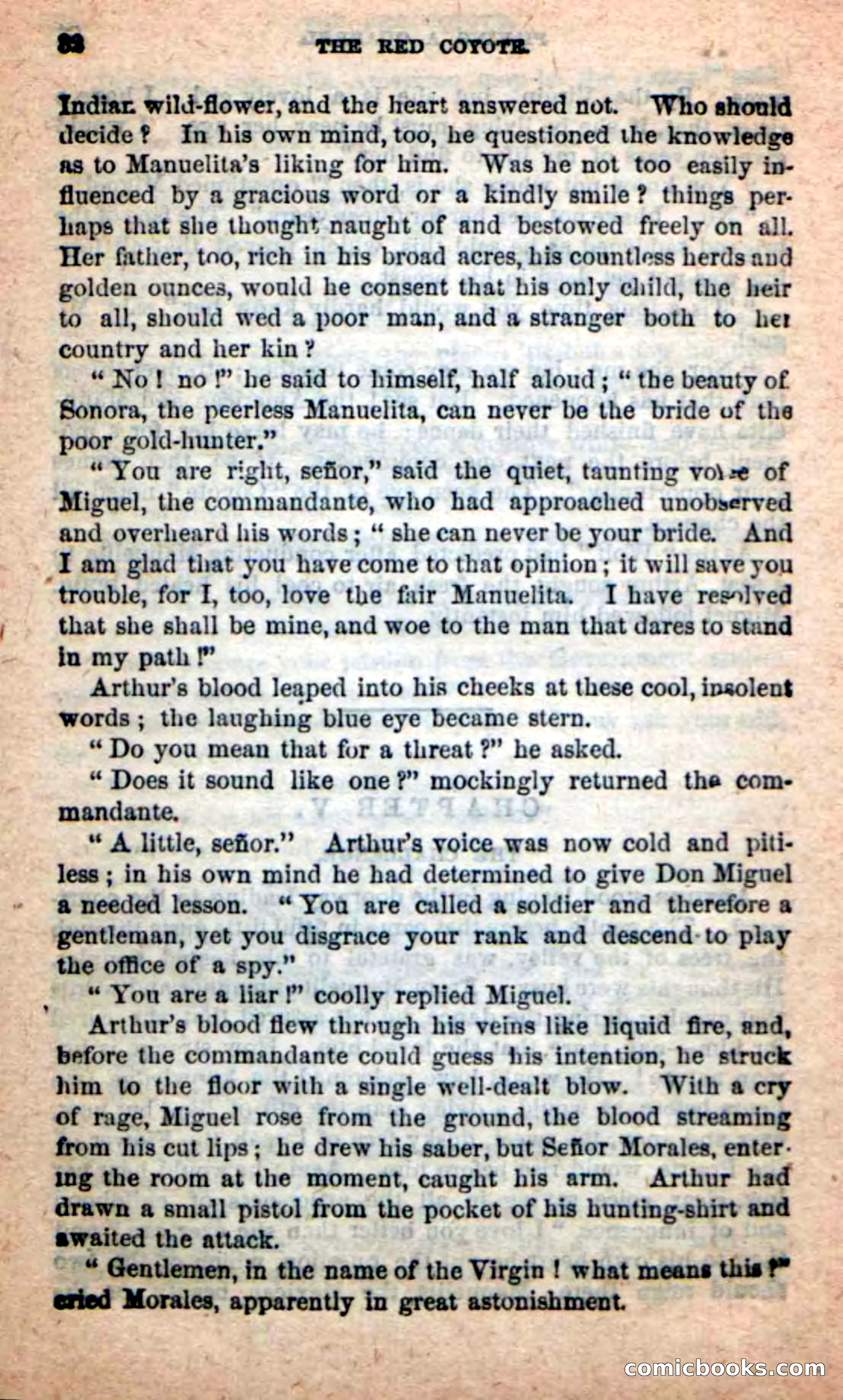 The Red Coyote — page 28 of 100