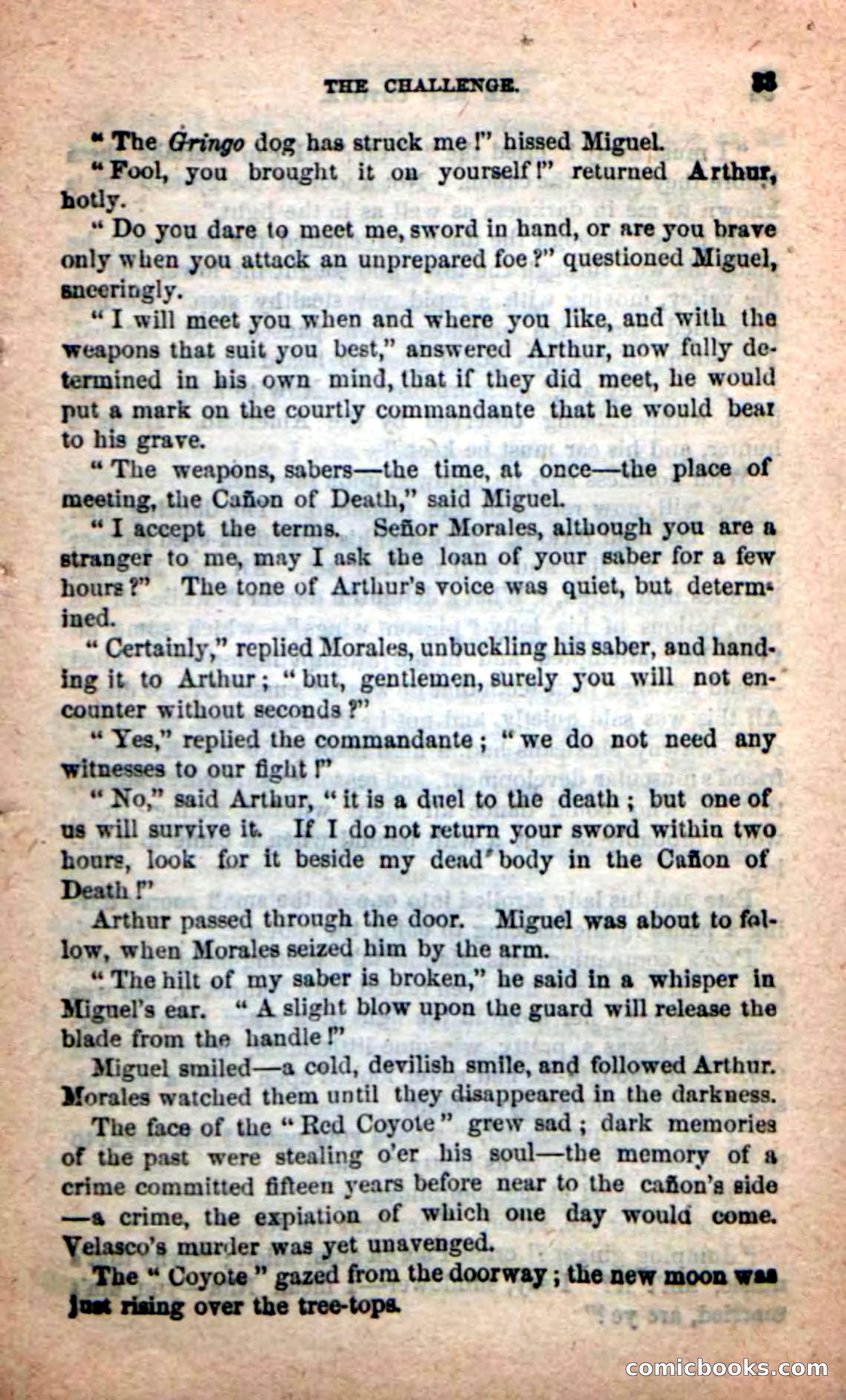 The Red Coyote — page 29 of 100