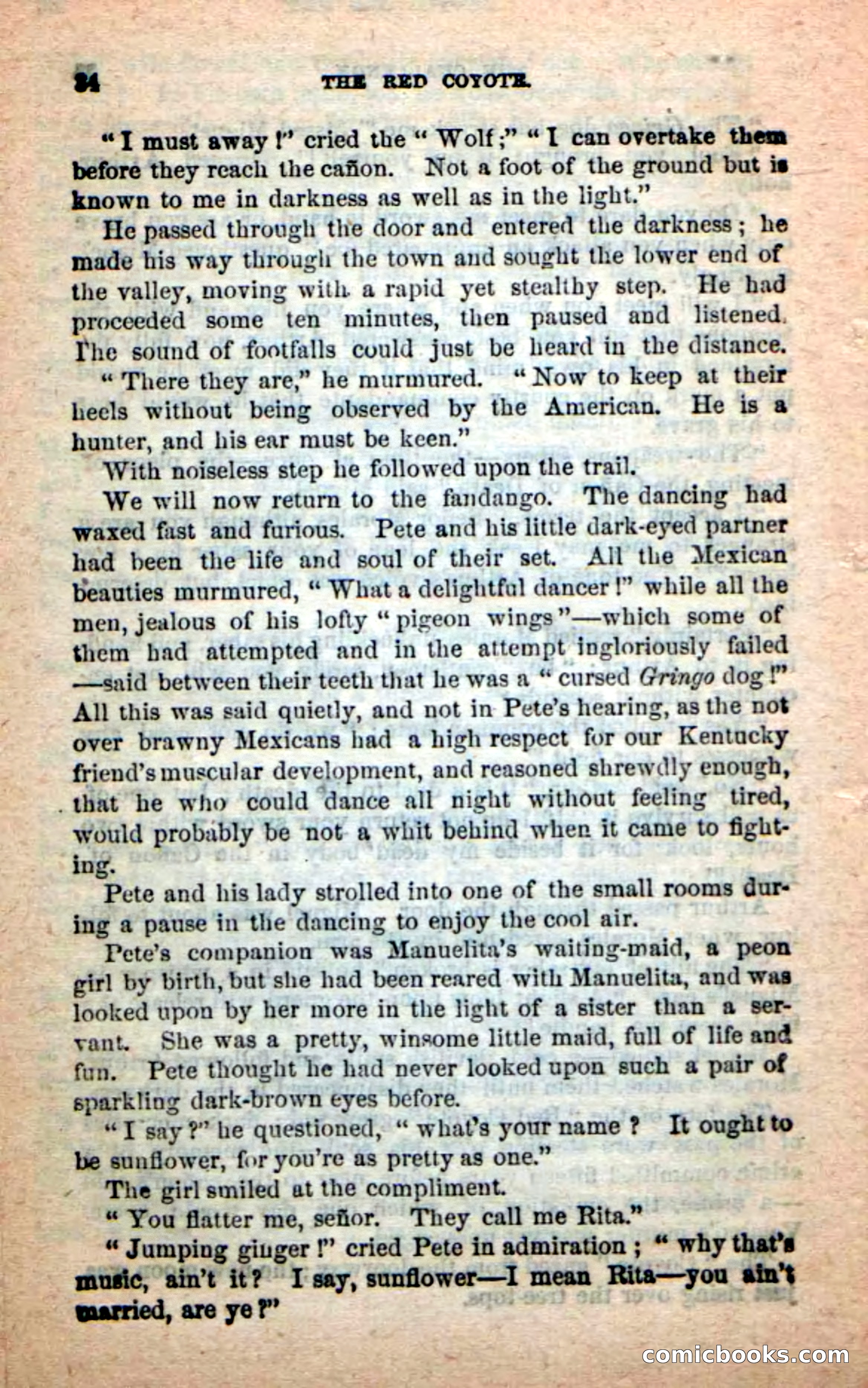 The Red Coyote — page 30 of 100