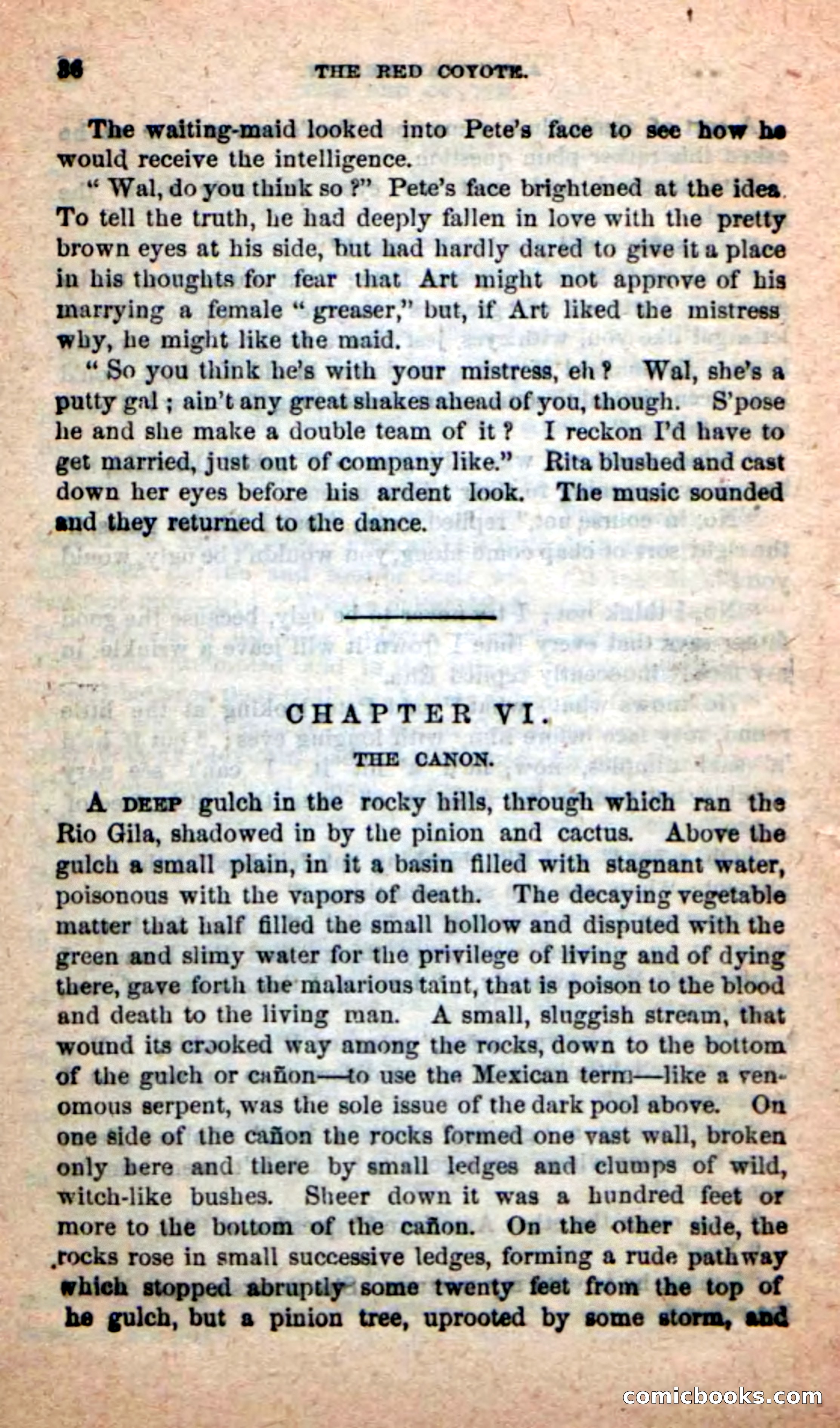 The Red Coyote — page 32 of 100