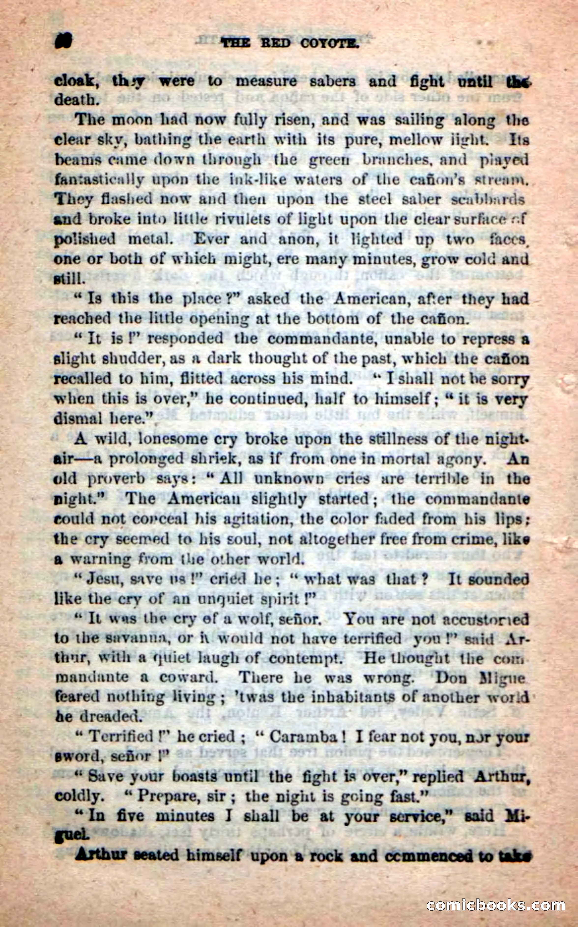 The Red Coyote — page 34 of 100