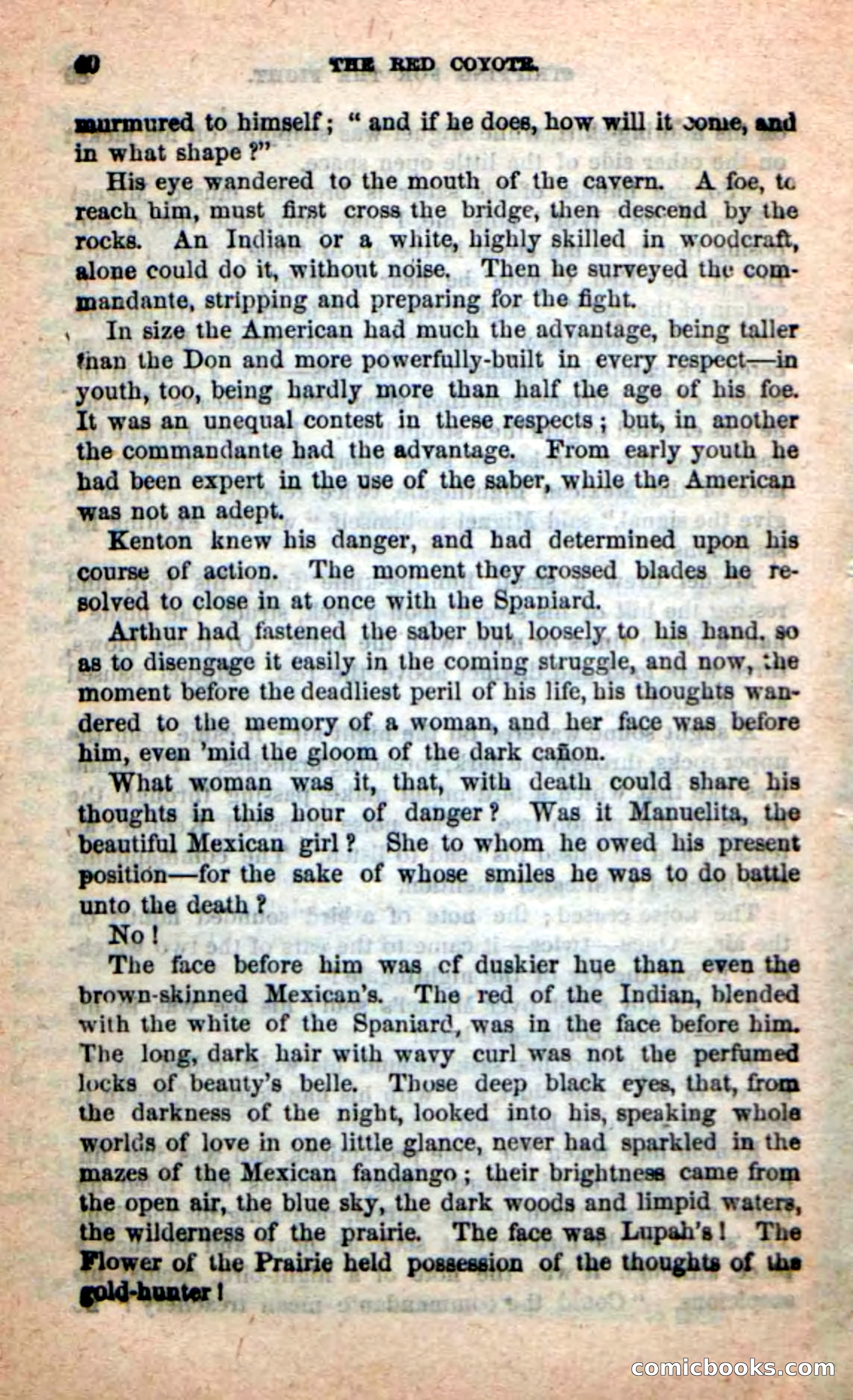 The Red Coyote — page 36 of 100