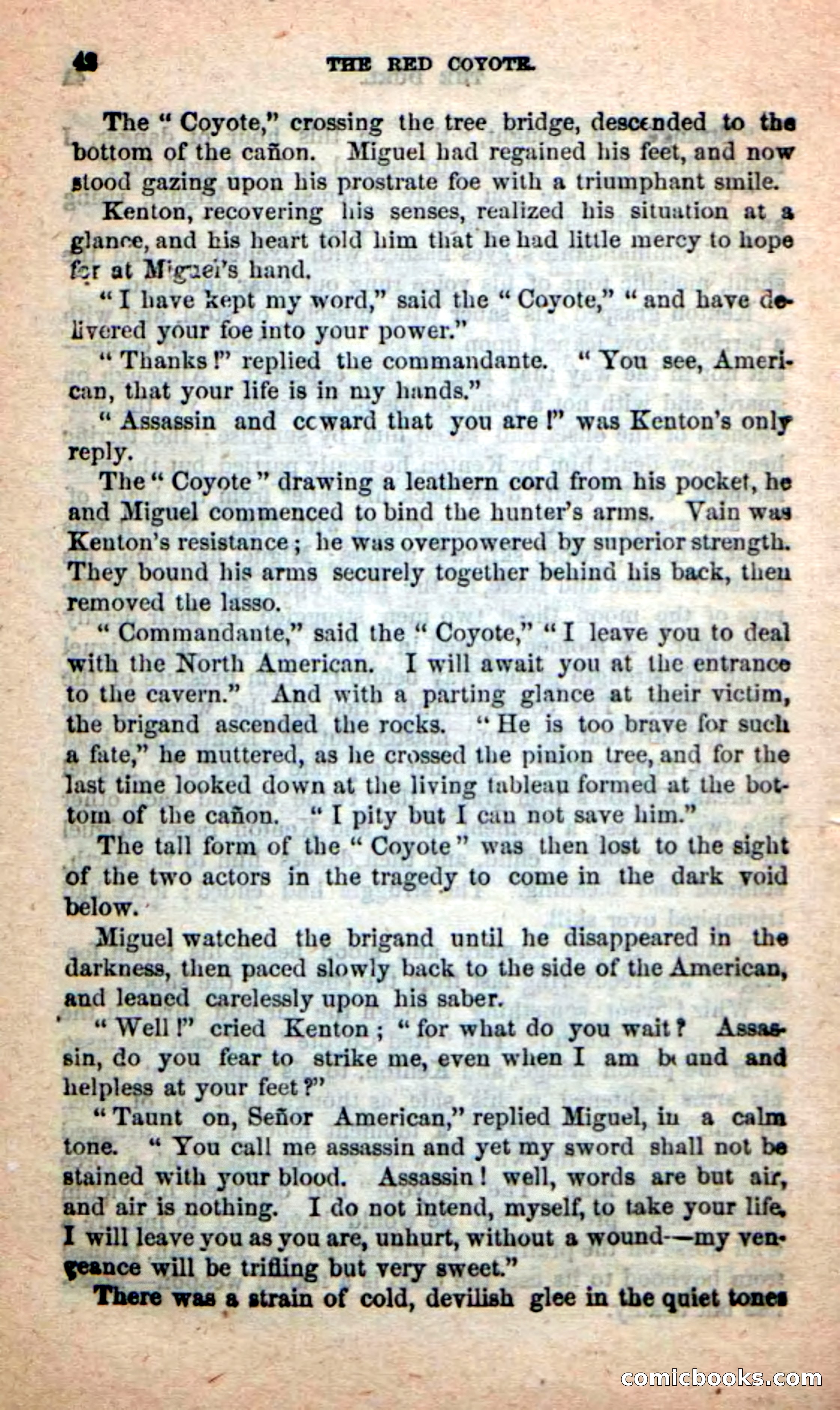 The Red Coyote — page 38 of 100