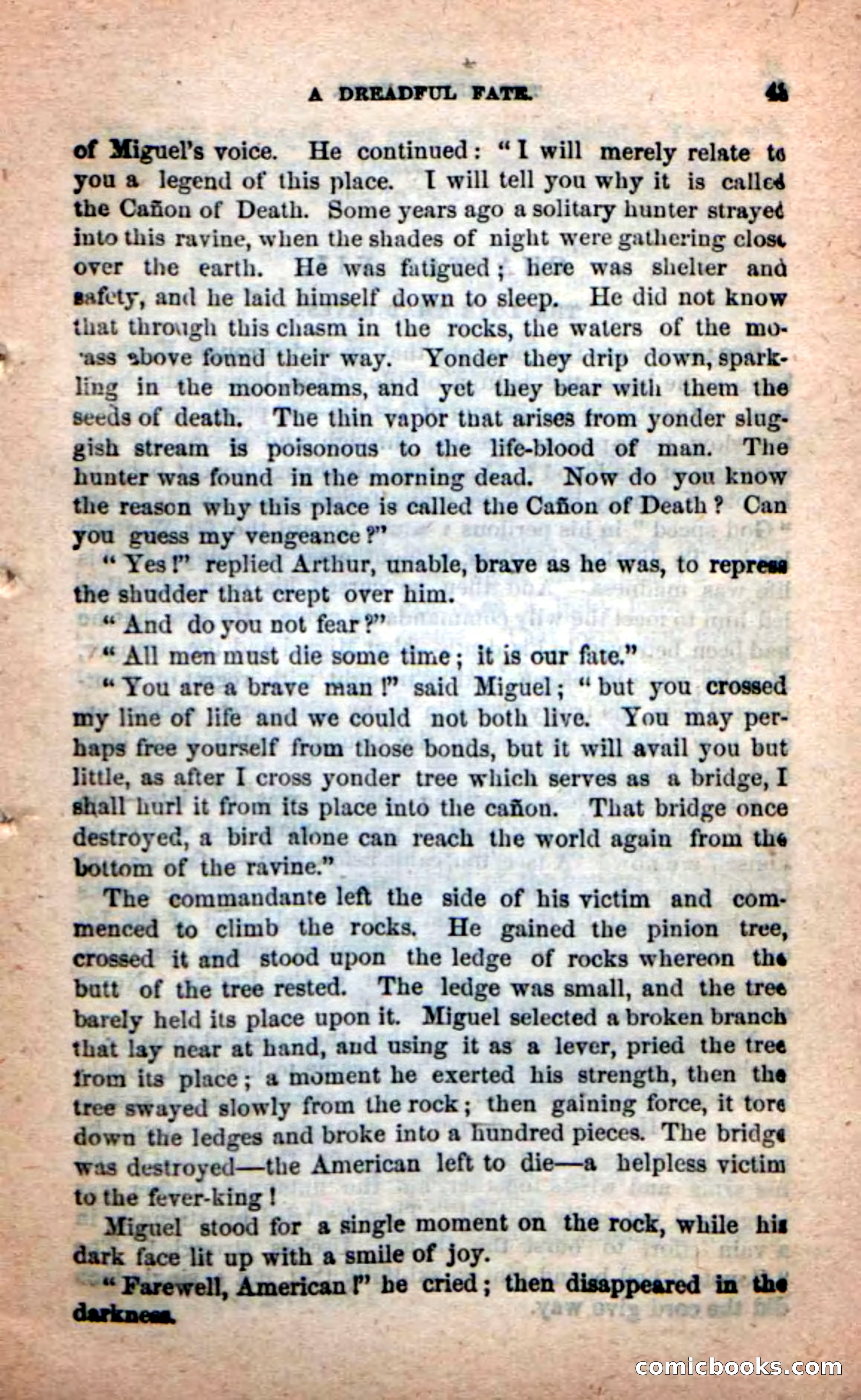 The Red Coyote — page 39 of 100