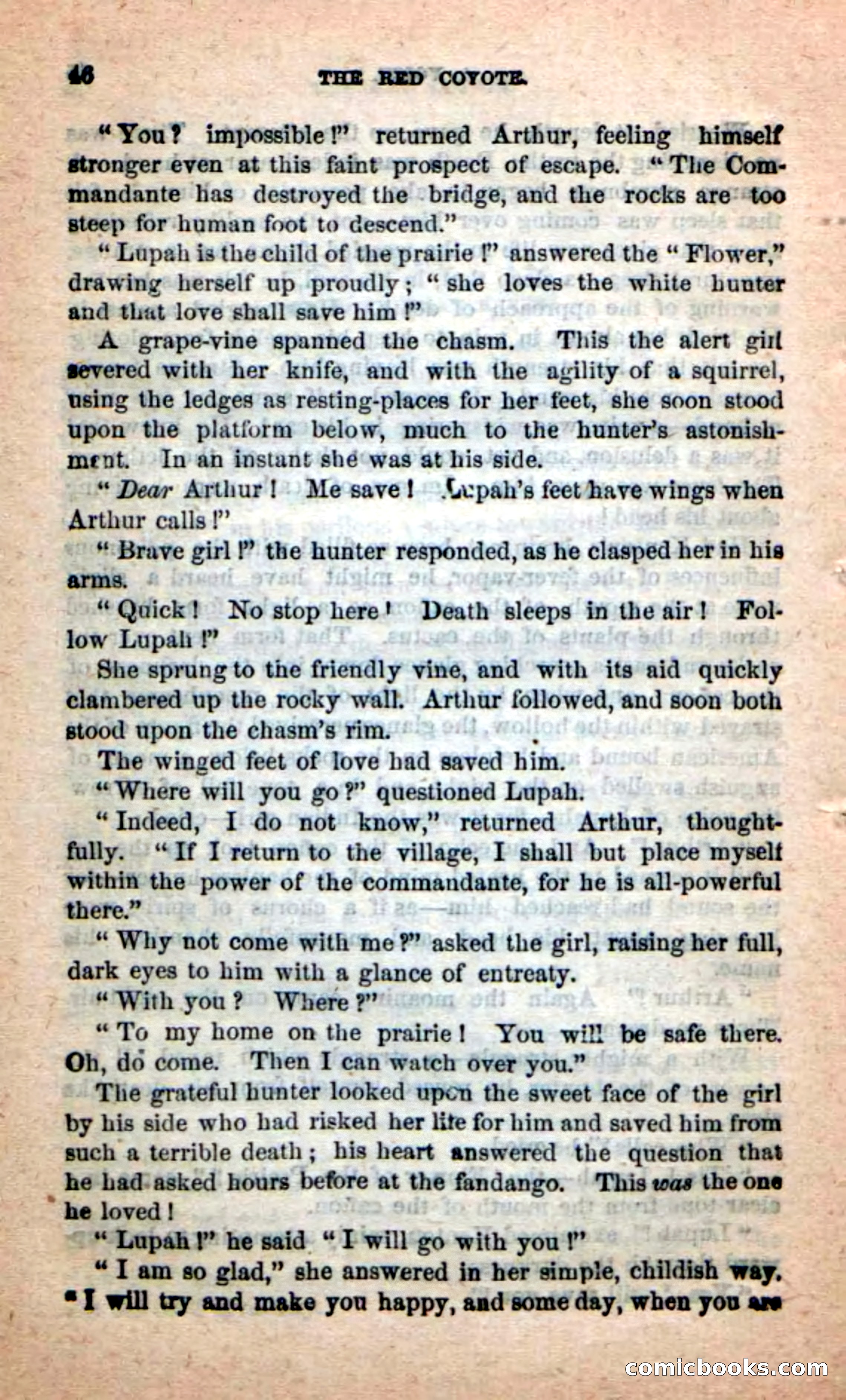 The Red Coyote — page 42 of 100