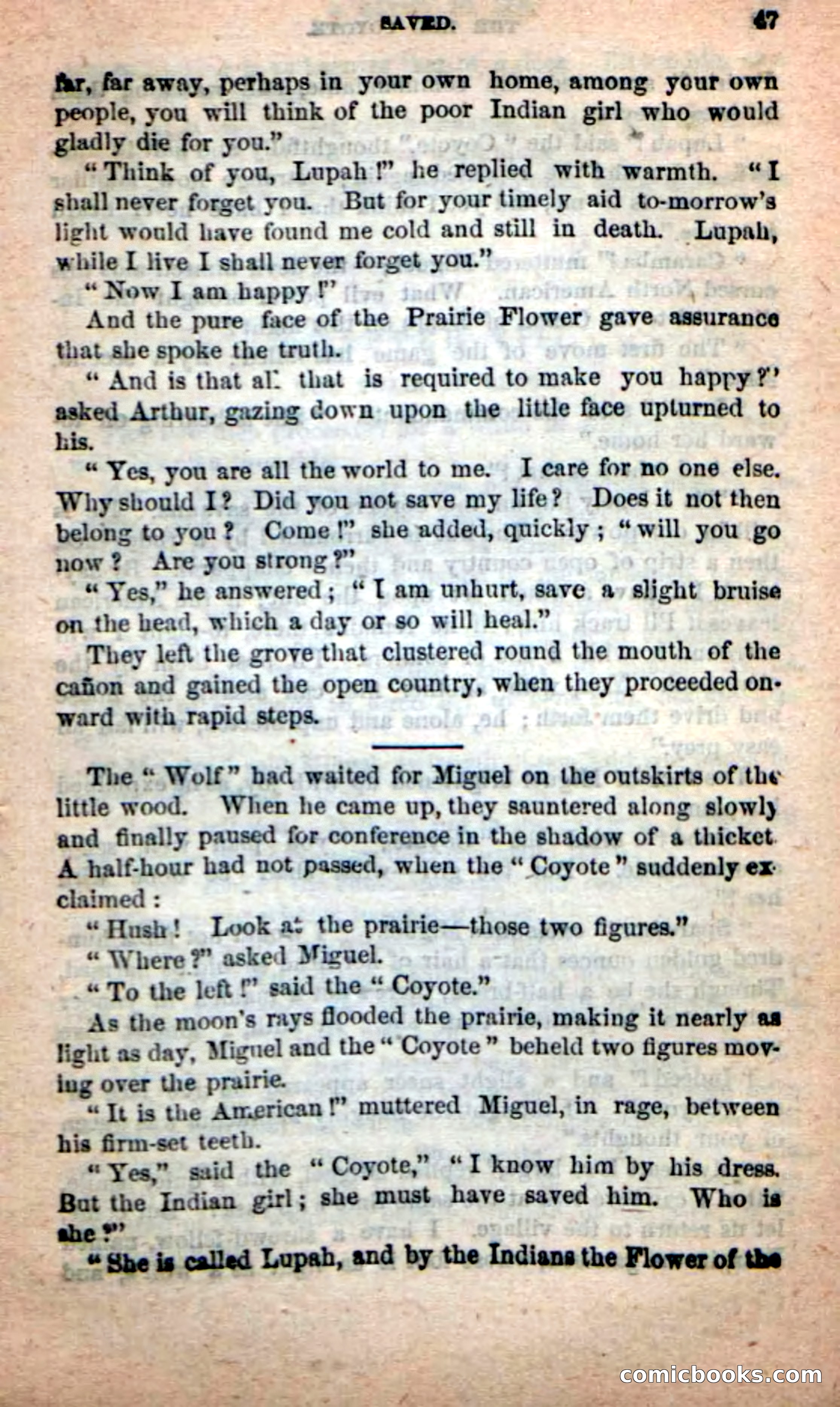 The Red Coyote — page 43 of 100
