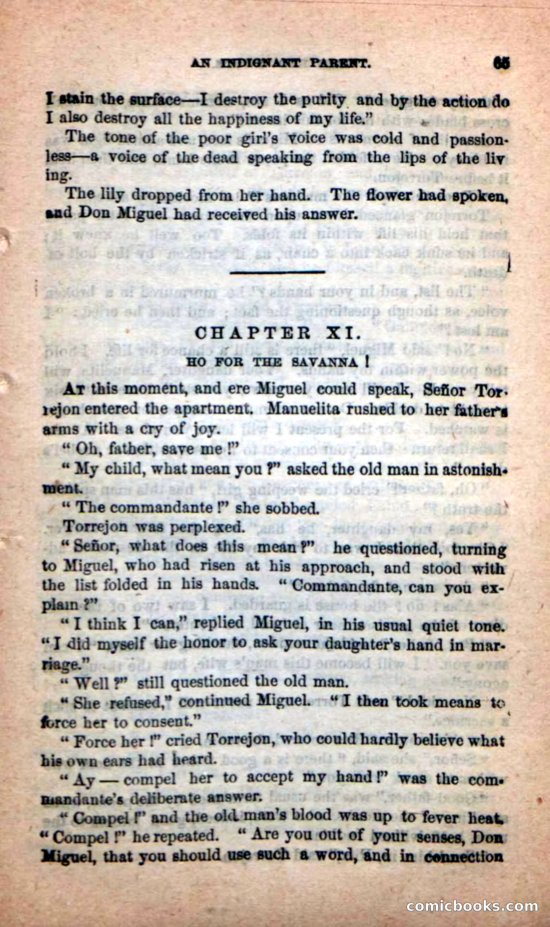 The Red Coyote — page 61 of 100