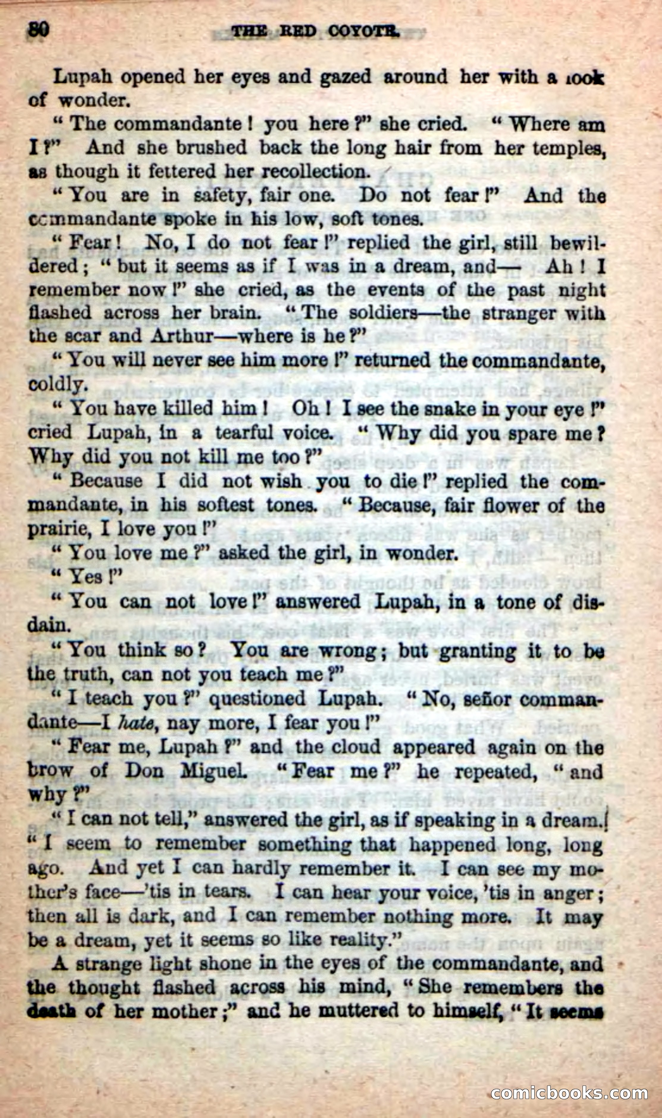 The Red Coyote — page 76 of 100