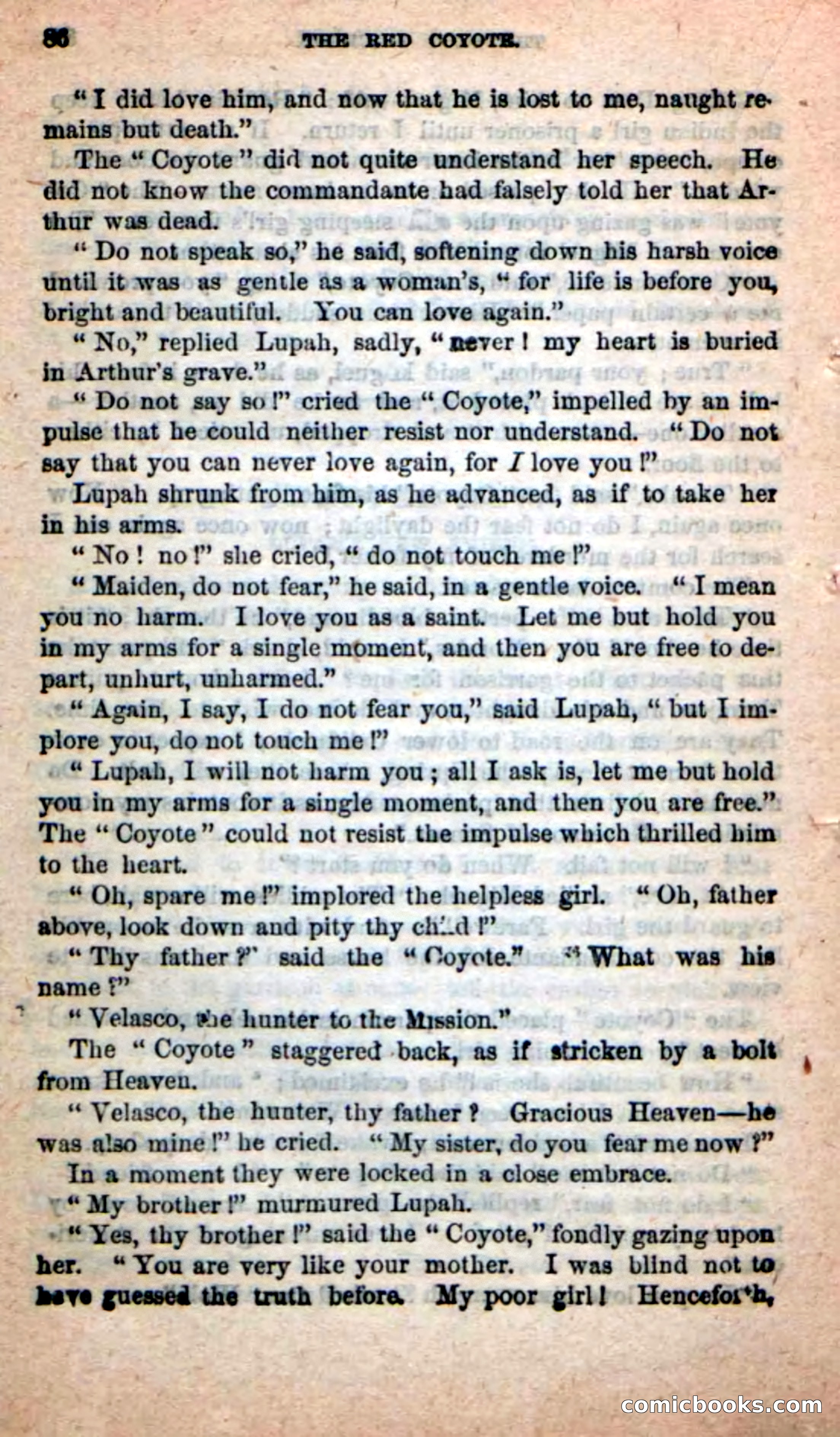 The Red Coyote — page 82 of 100