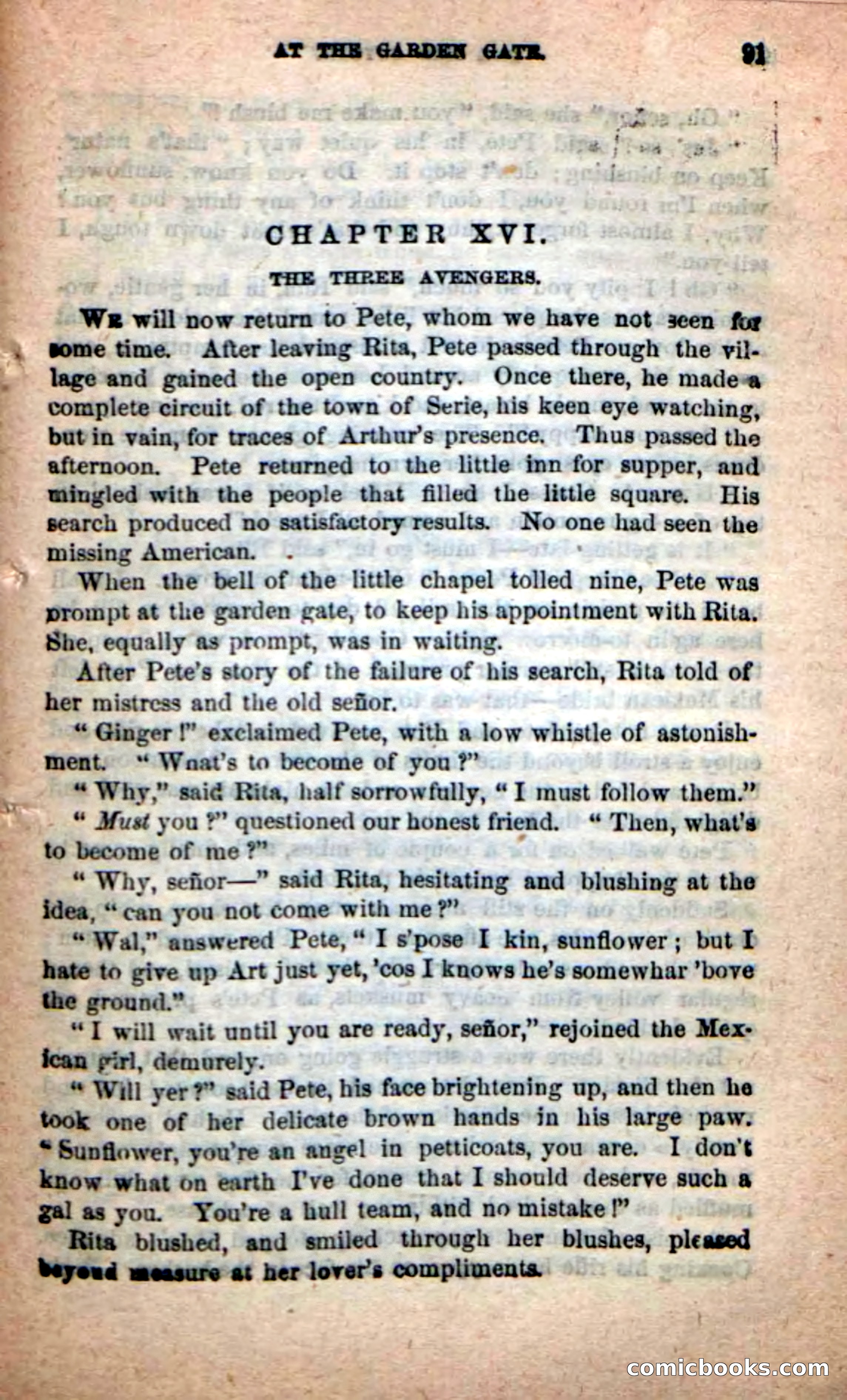 The Red Coyote — page 87 of 100