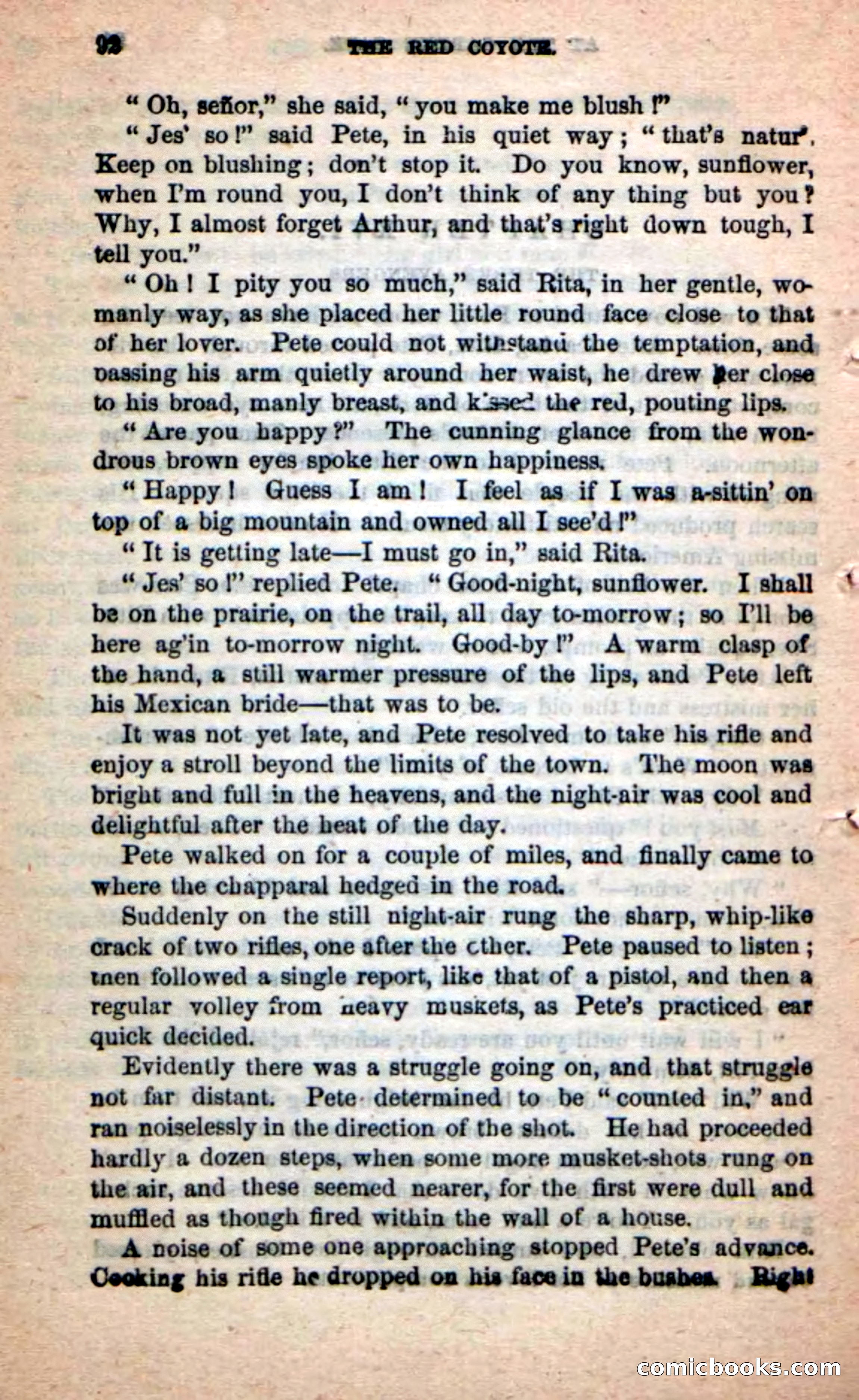 The Red Coyote — page 88 of 100
