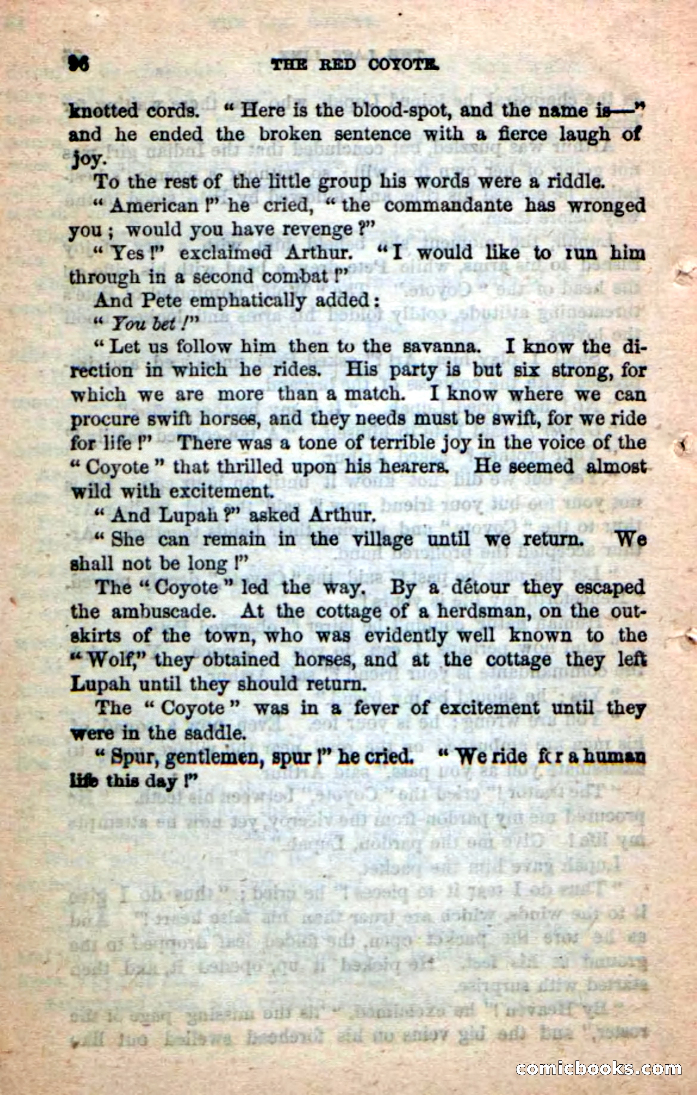 The Red Coyote — page 92 of 100
