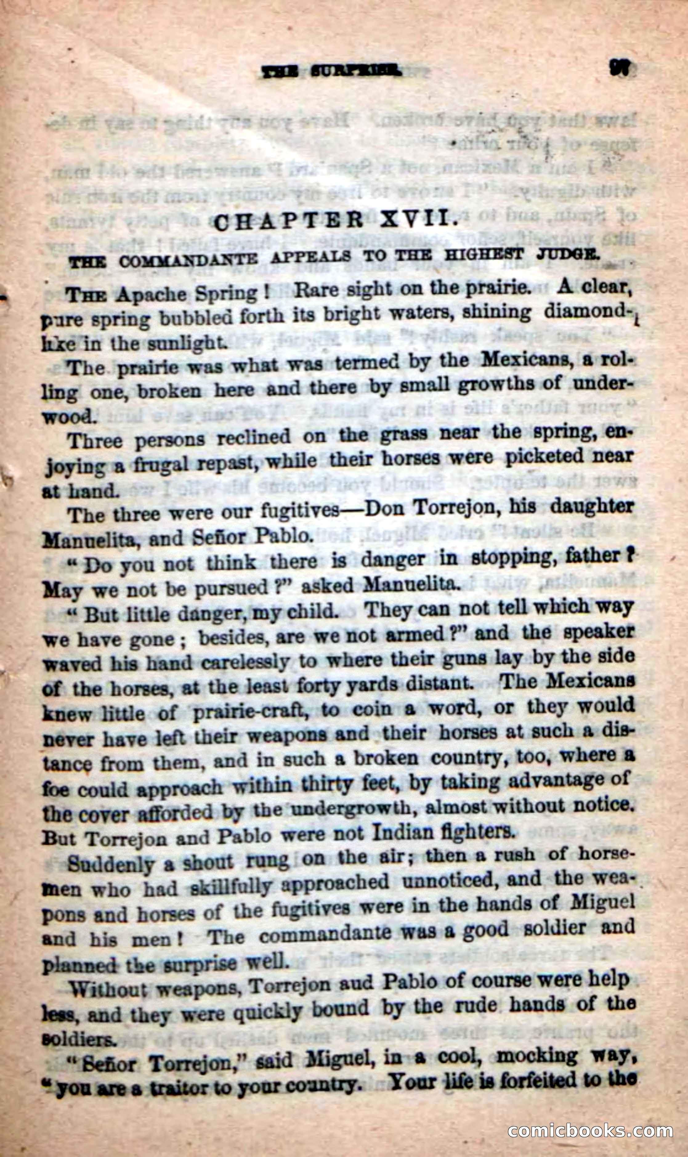 The Red Coyote — page 93 of 100