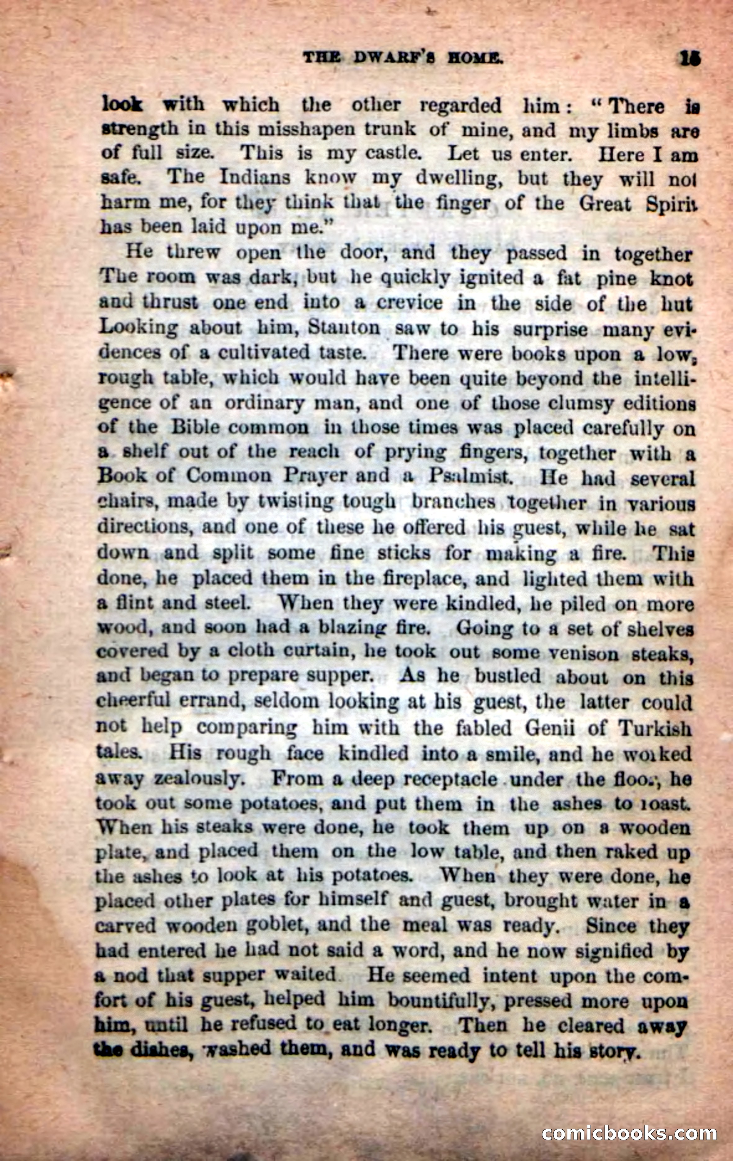 The Hunchback — page 11 of 100