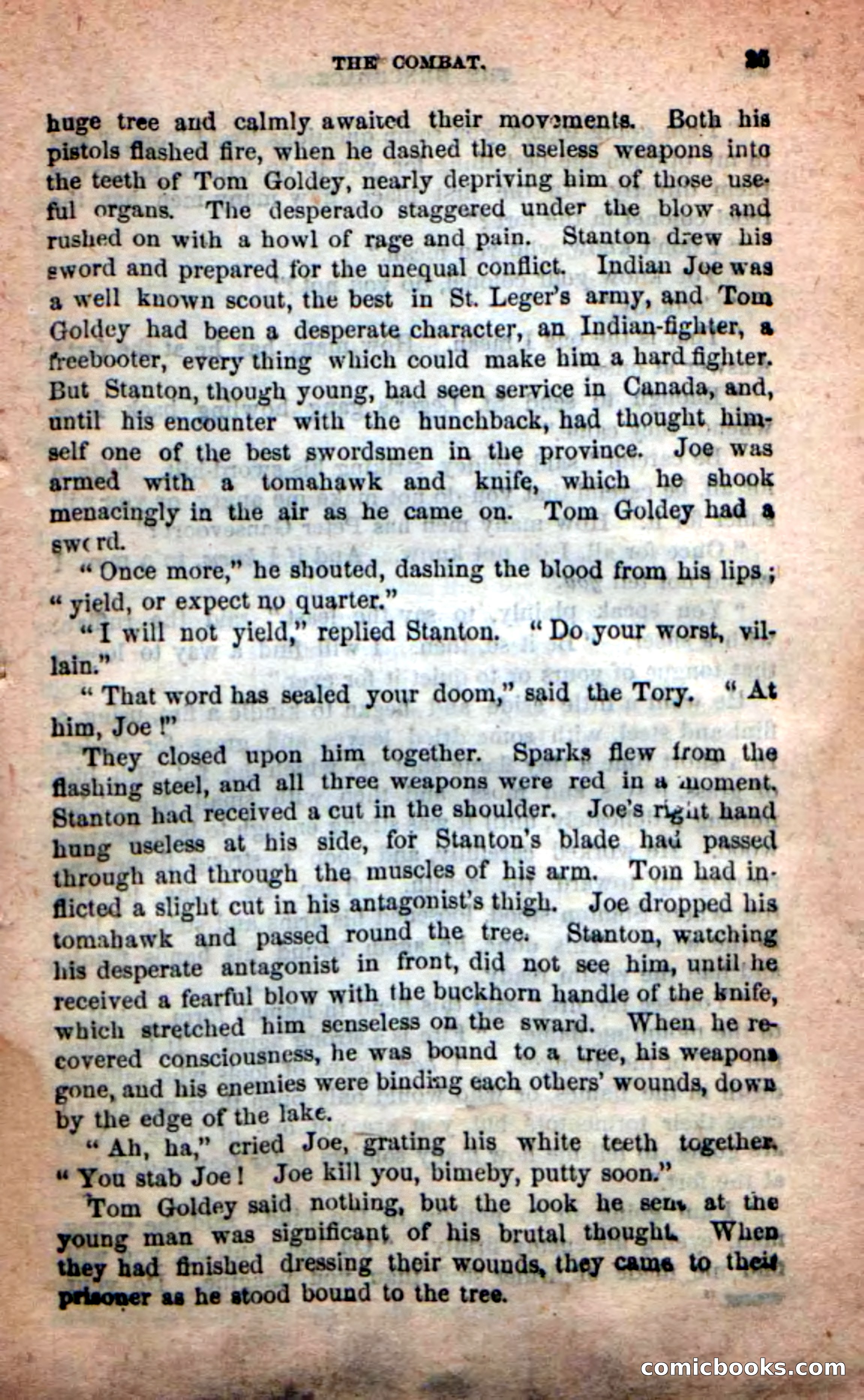 The Hunchback — page 21 of 100
