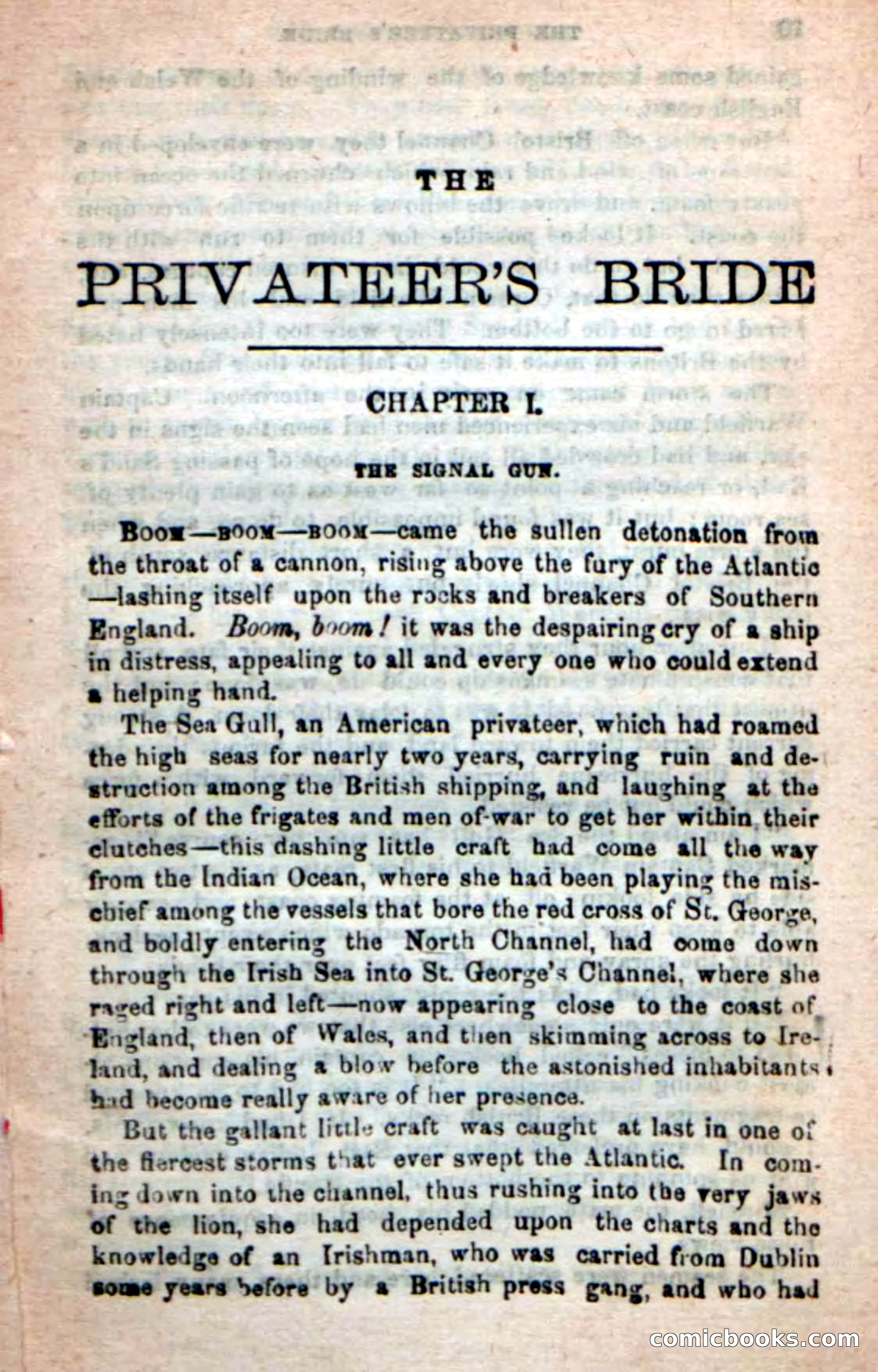 The Privateer's Bride — page 5 of 100
