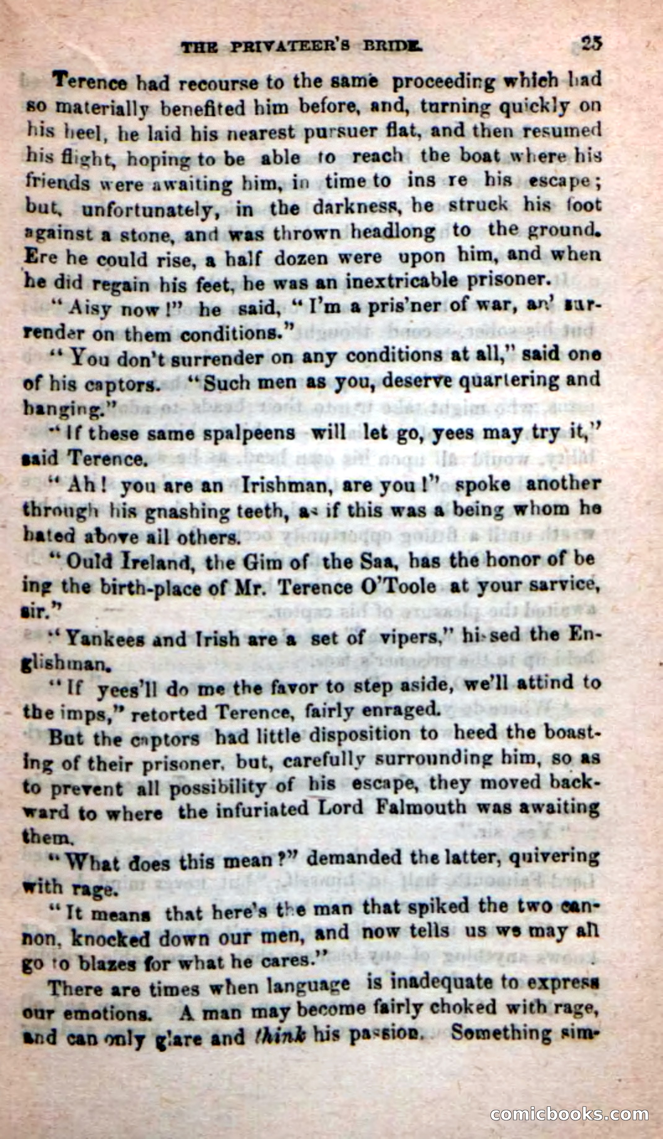 The Privateer's Bride — page 21 of 100