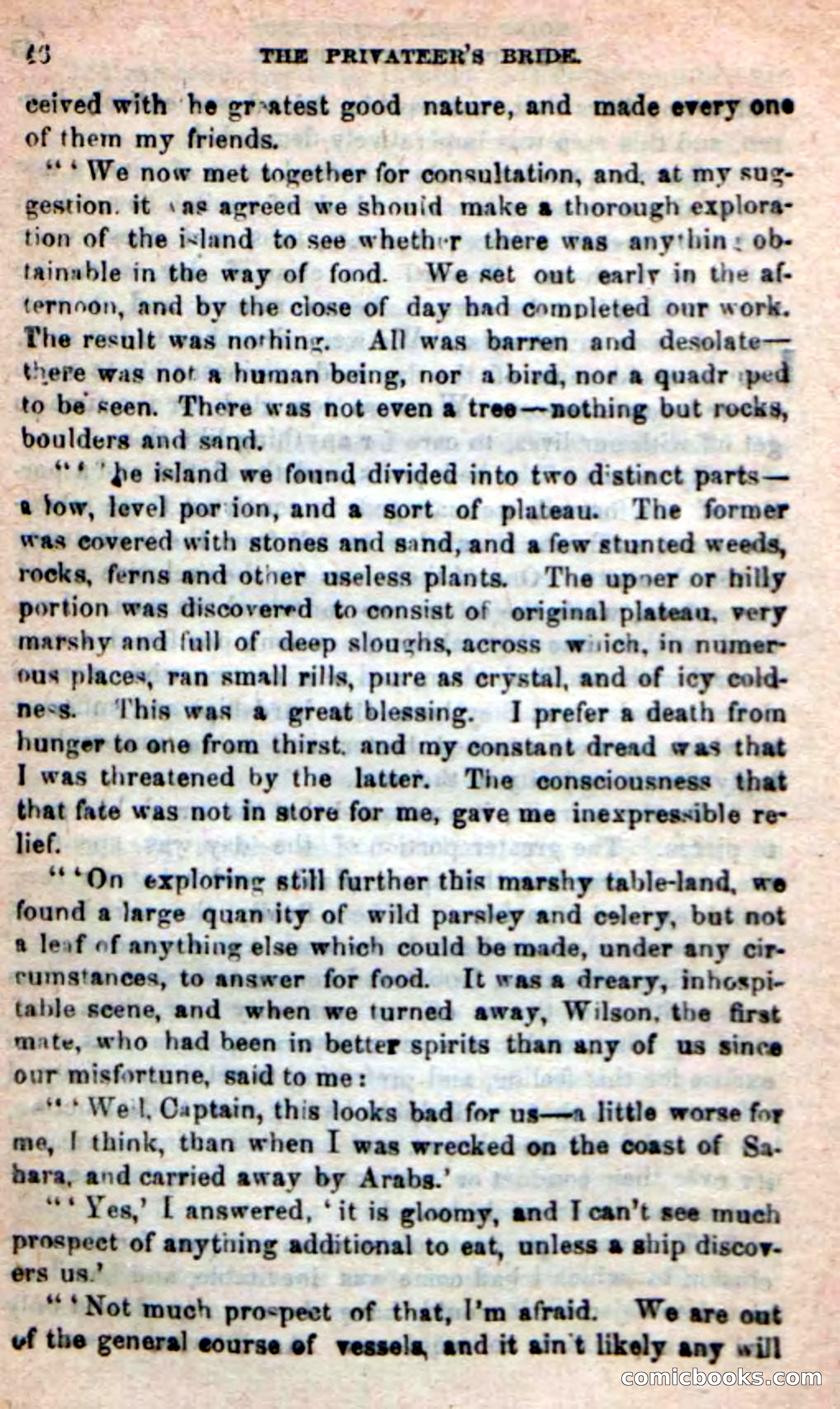 The Privateer's Bride — page 42 of 100