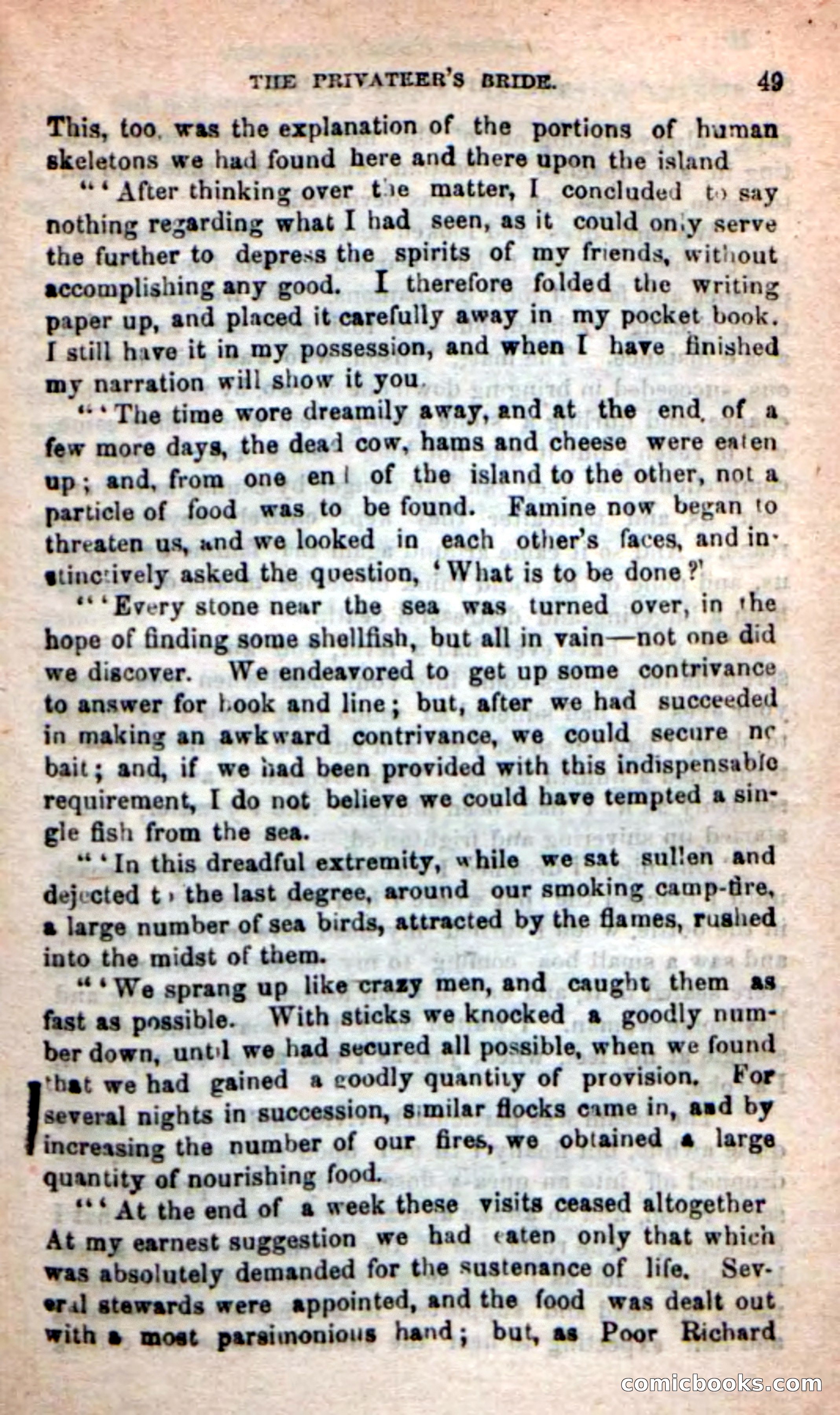 The Privateer's Bride — page 45 of 100