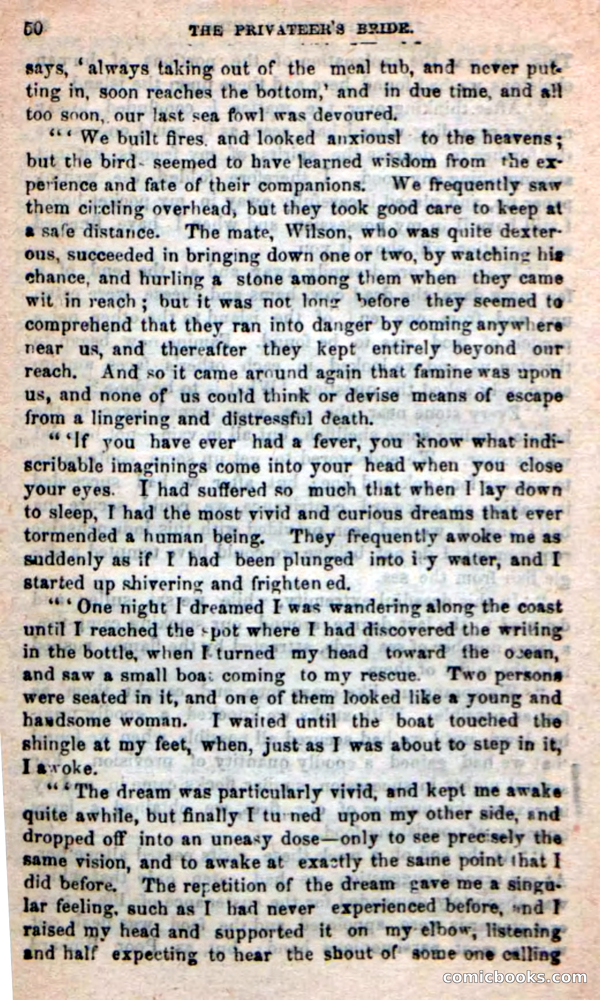 The Privateer's Bride — page 46 of 100