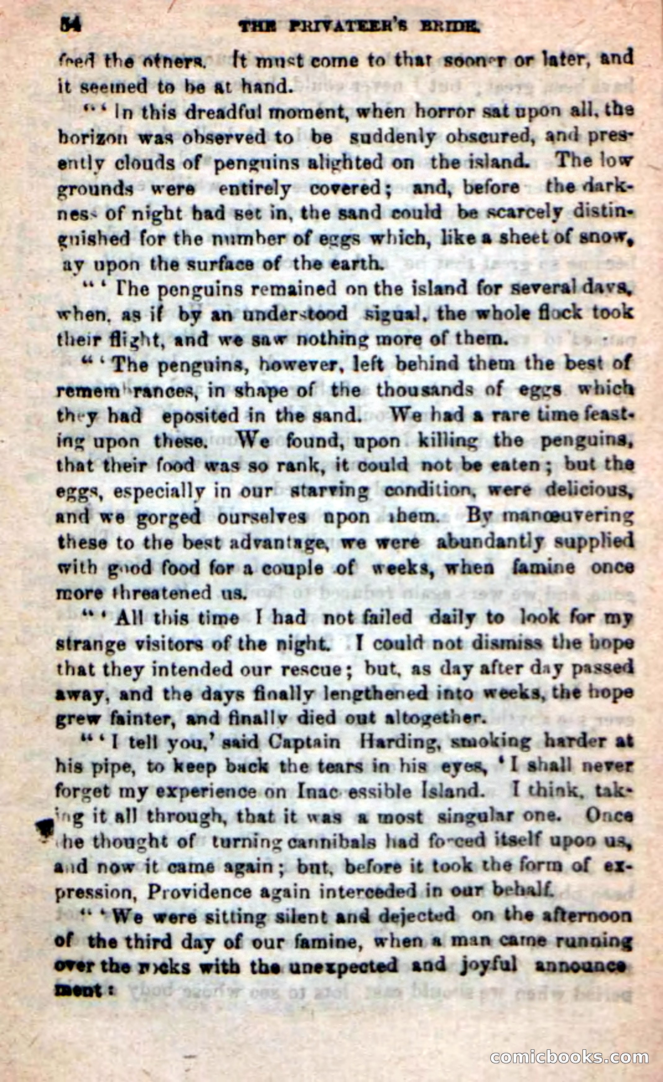 The Privateer's Bride — page 50 of 100