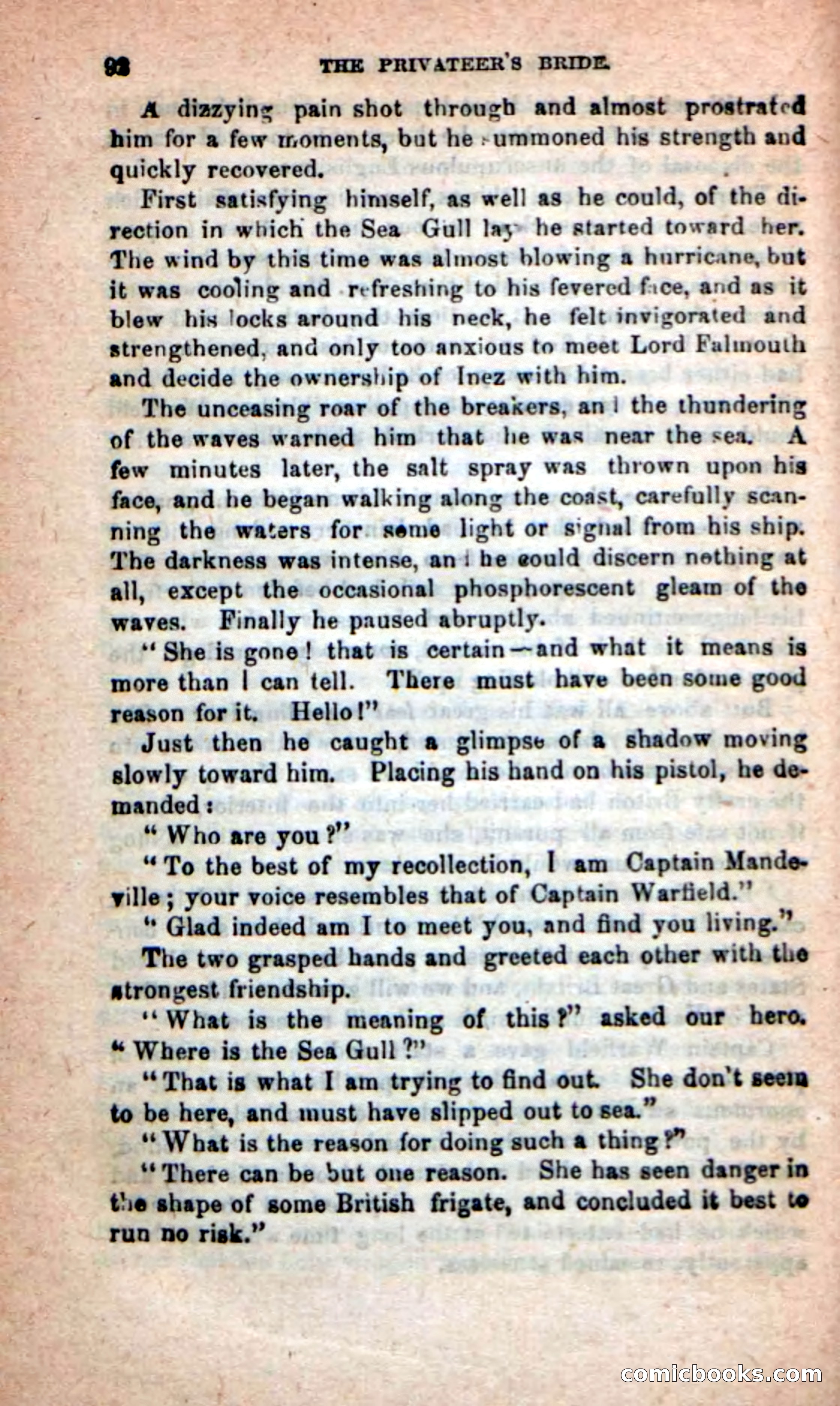 The Privateer's Bride — page 88 of 100