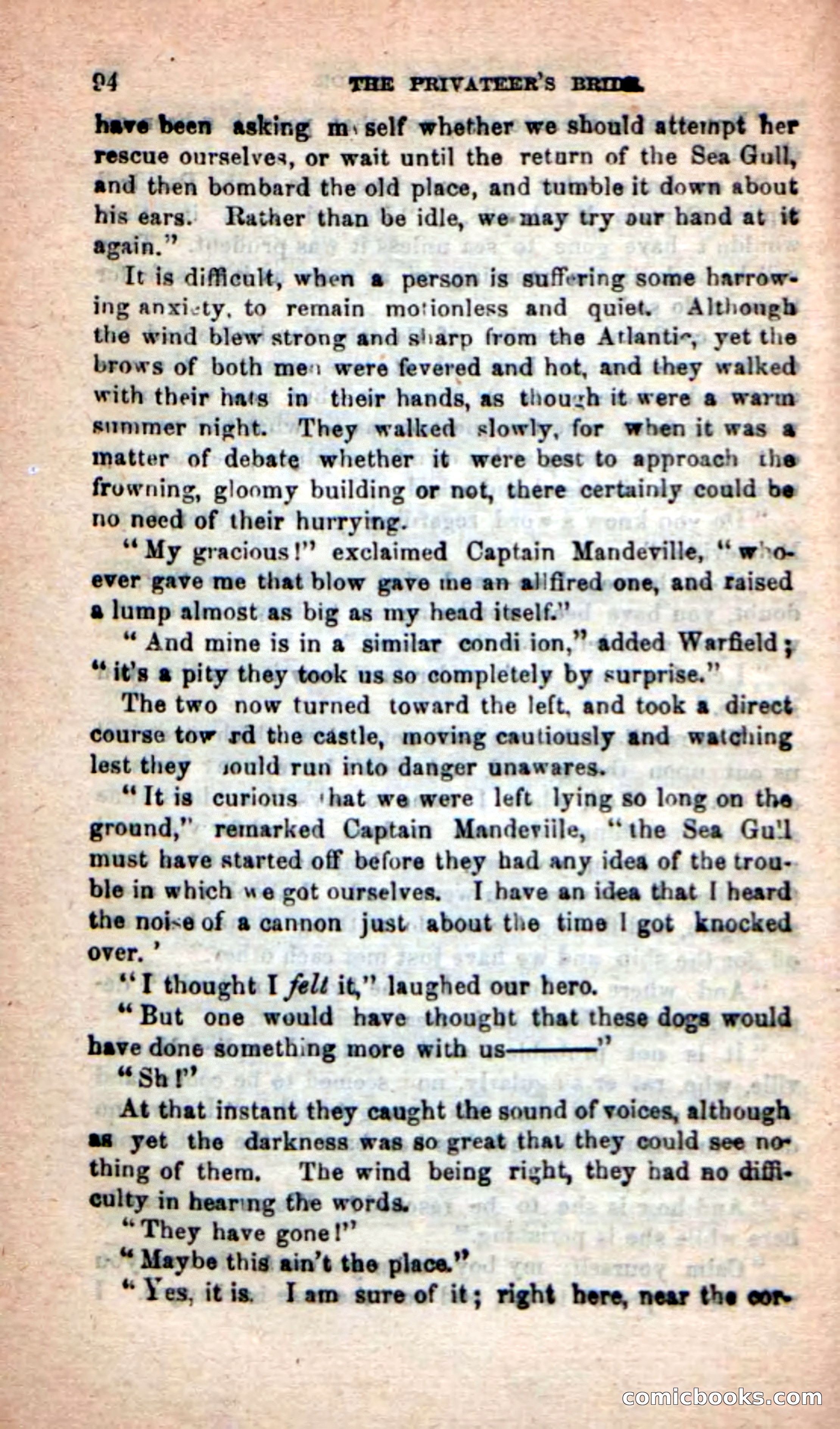 The Privateer's Bride — page 90 of 100