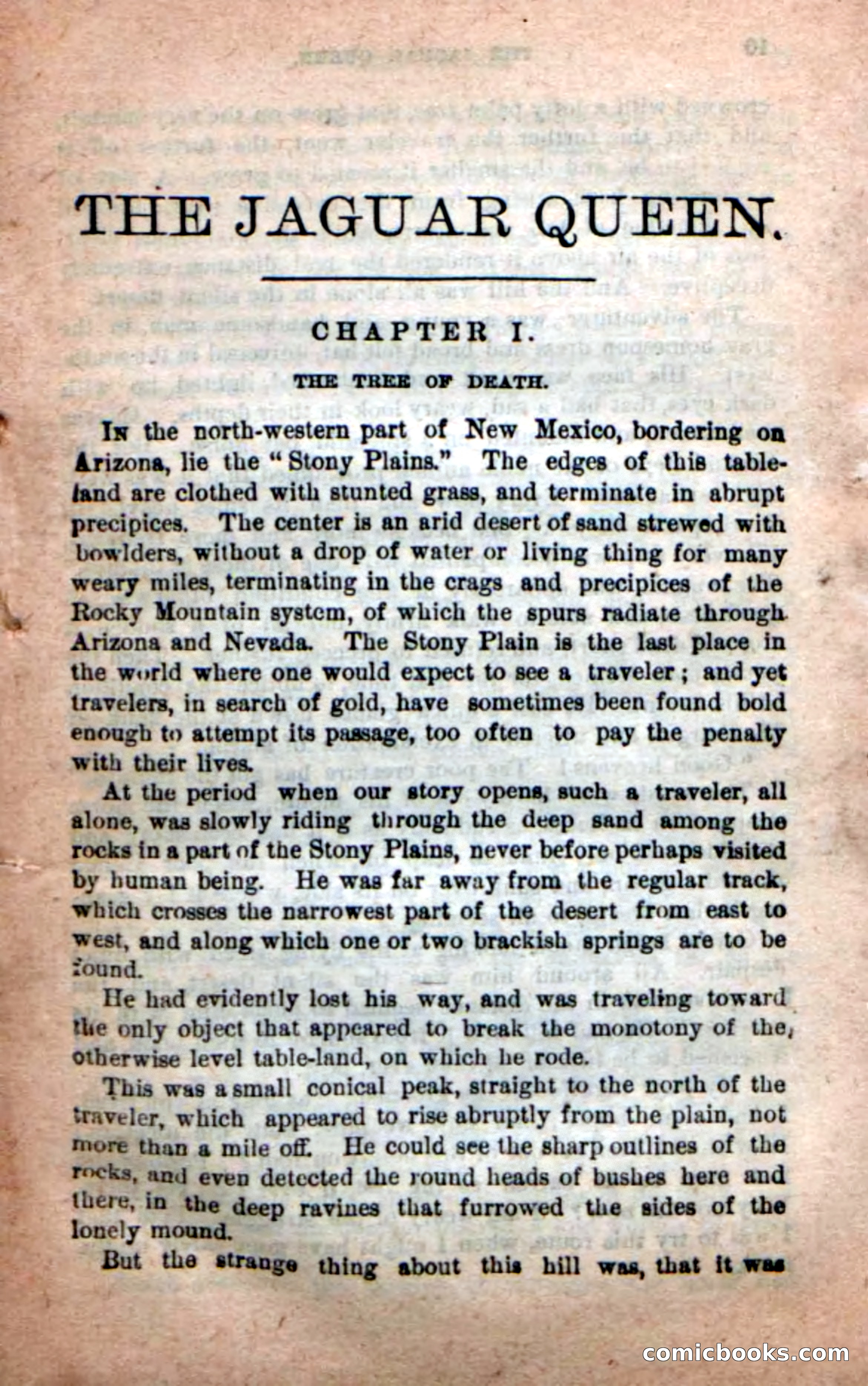 The Jaguar Queen — page 5 of 100
