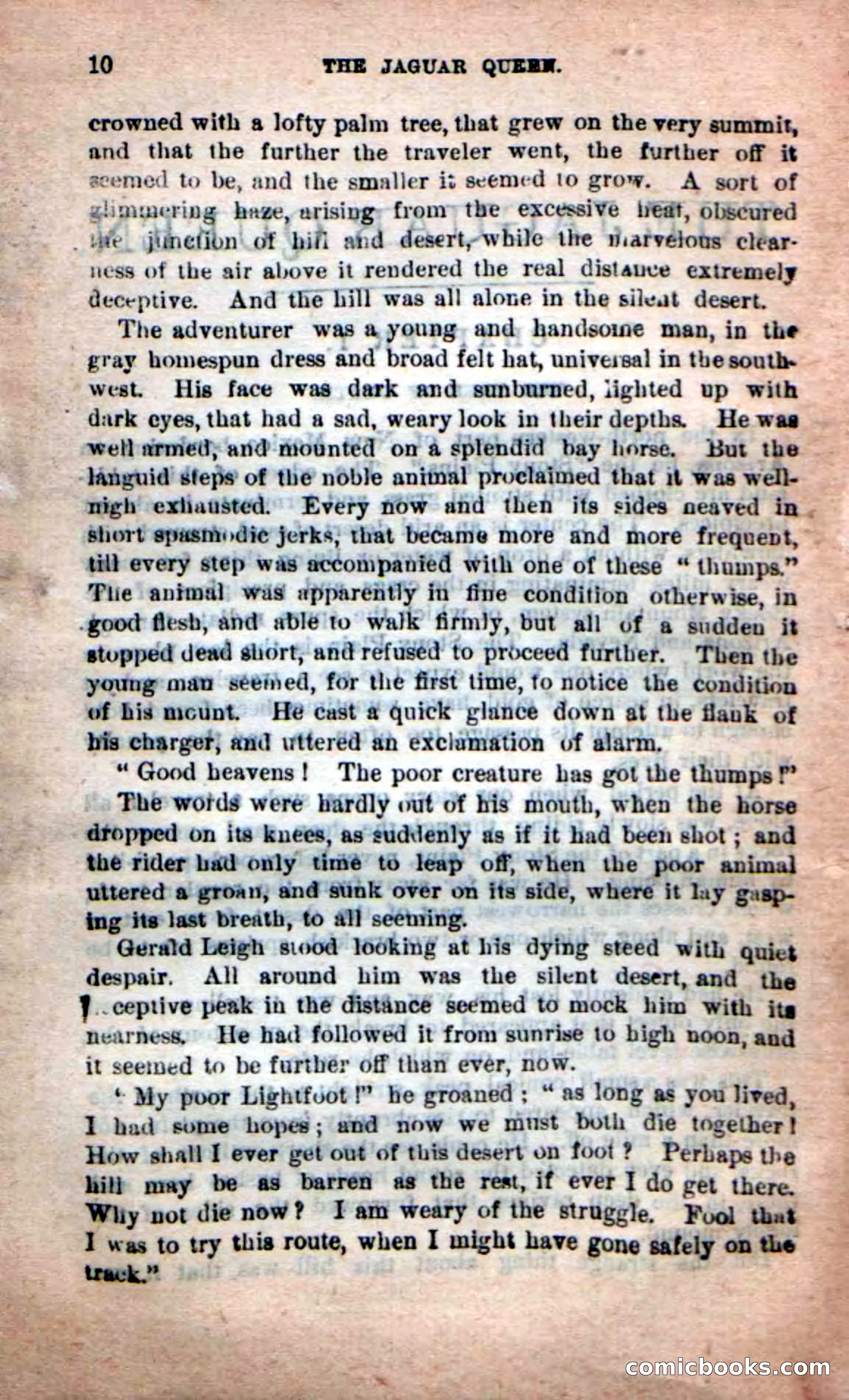 The Jaguar Queen — page 6 of 100