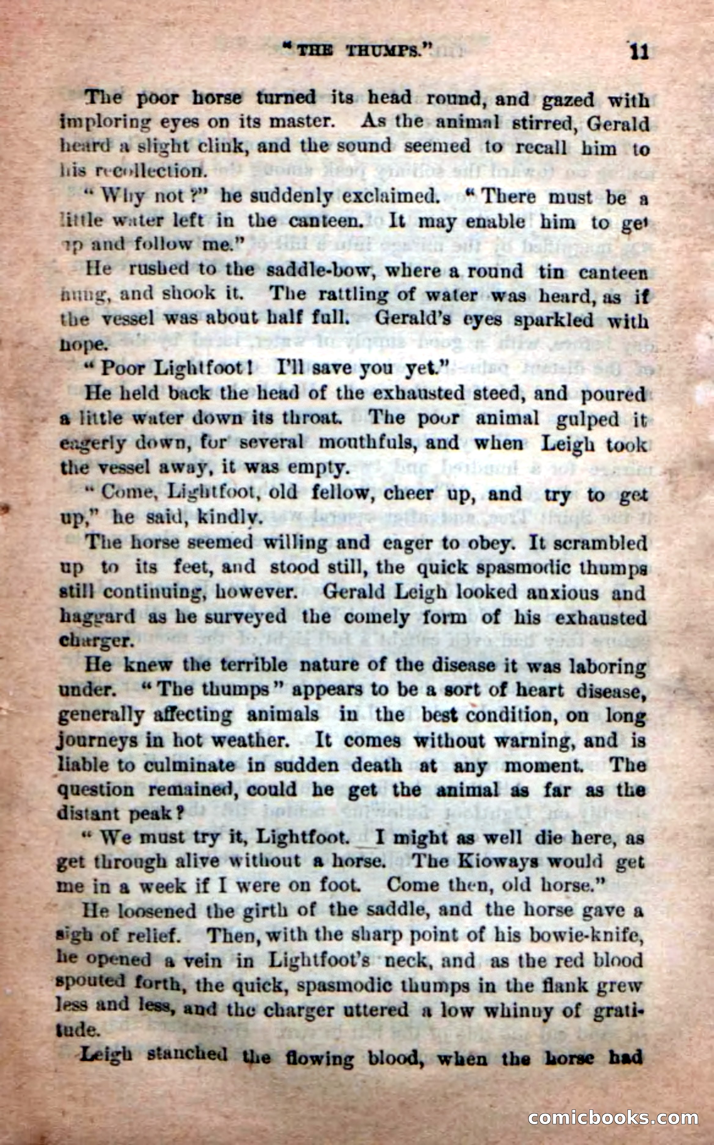 The Jaguar Queen — page 7 of 100
