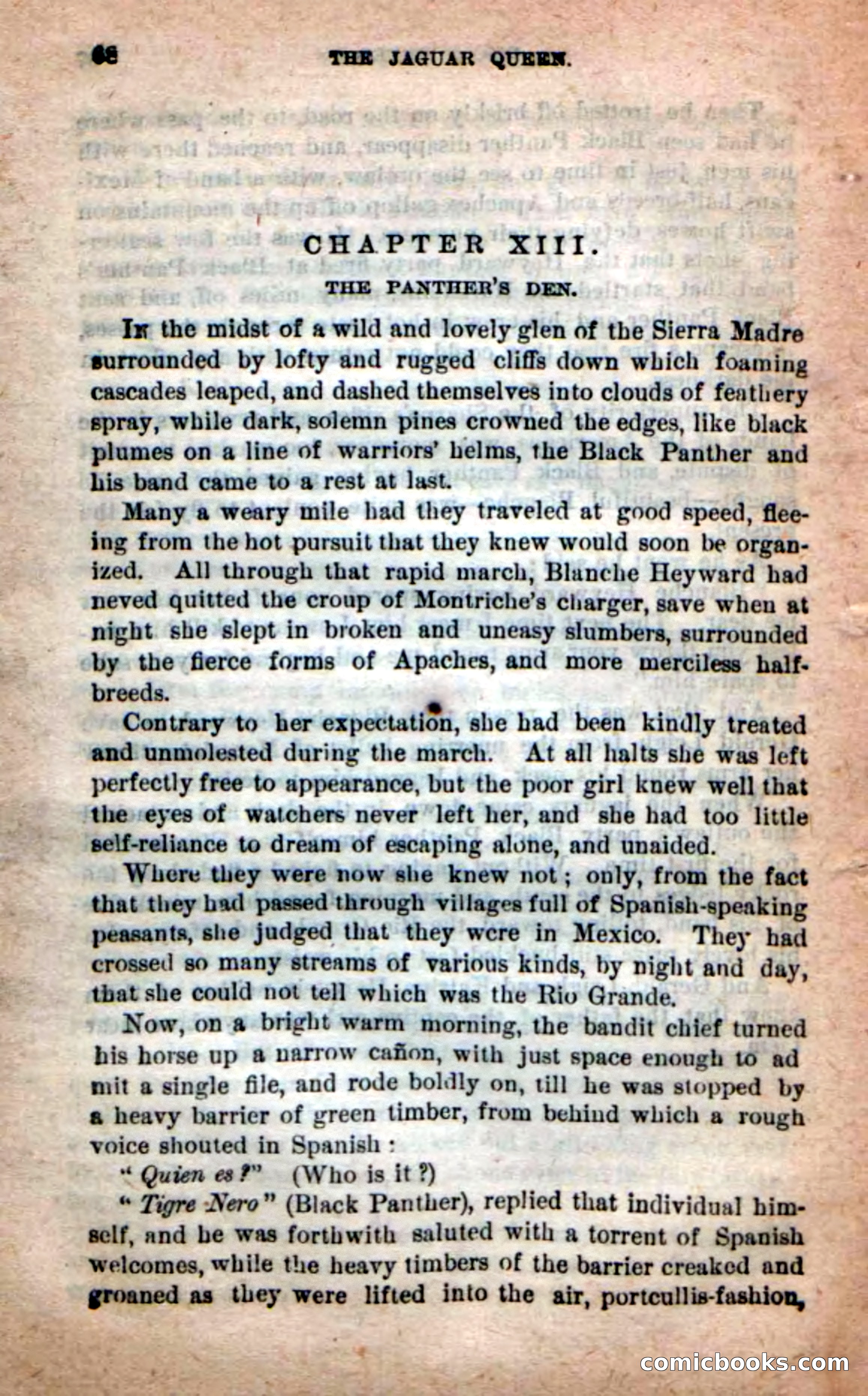 The Jaguar Queen — page 64 of 100