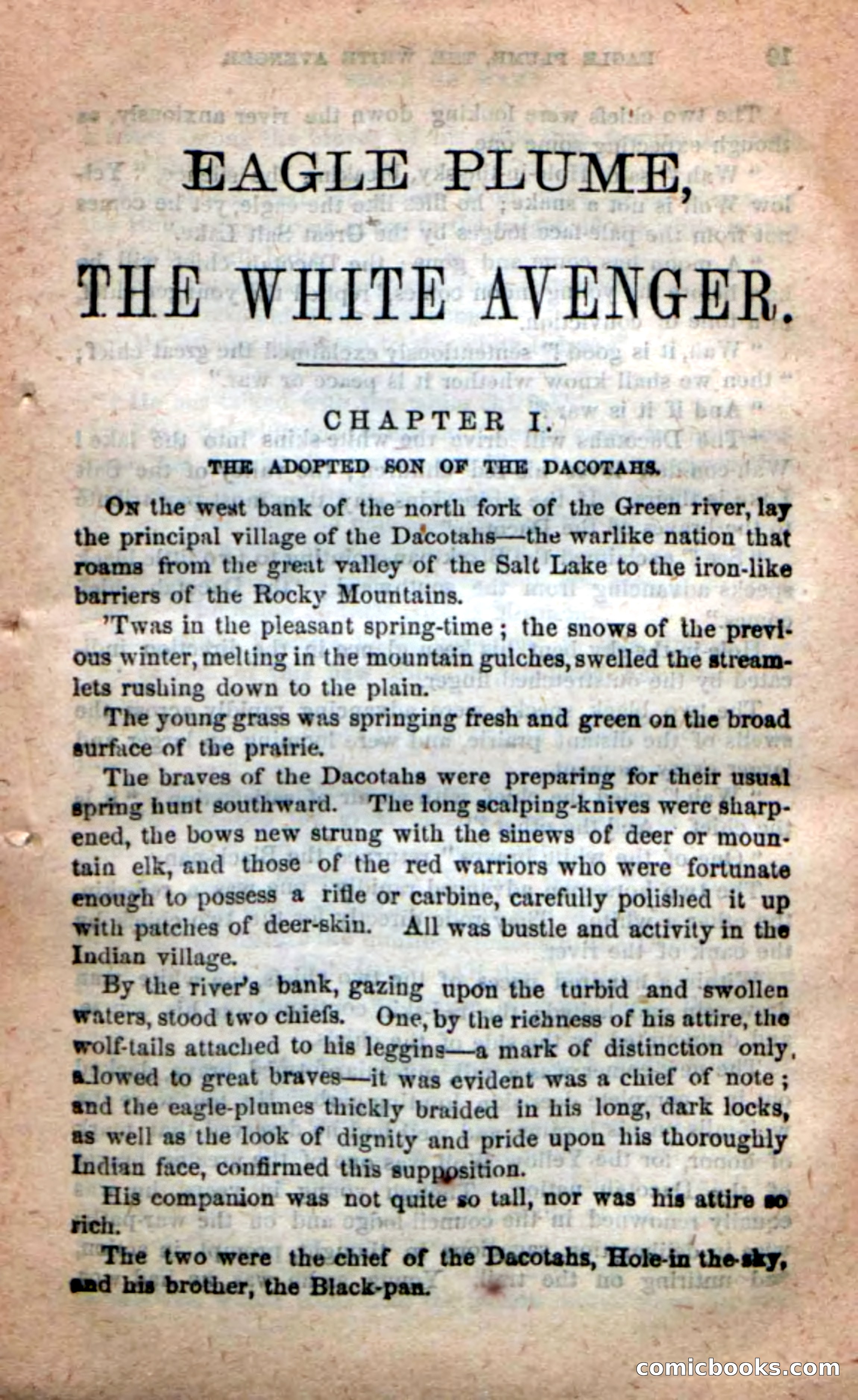 Beadle's New Dime Novels: Eagle Plume — page 5 of 98