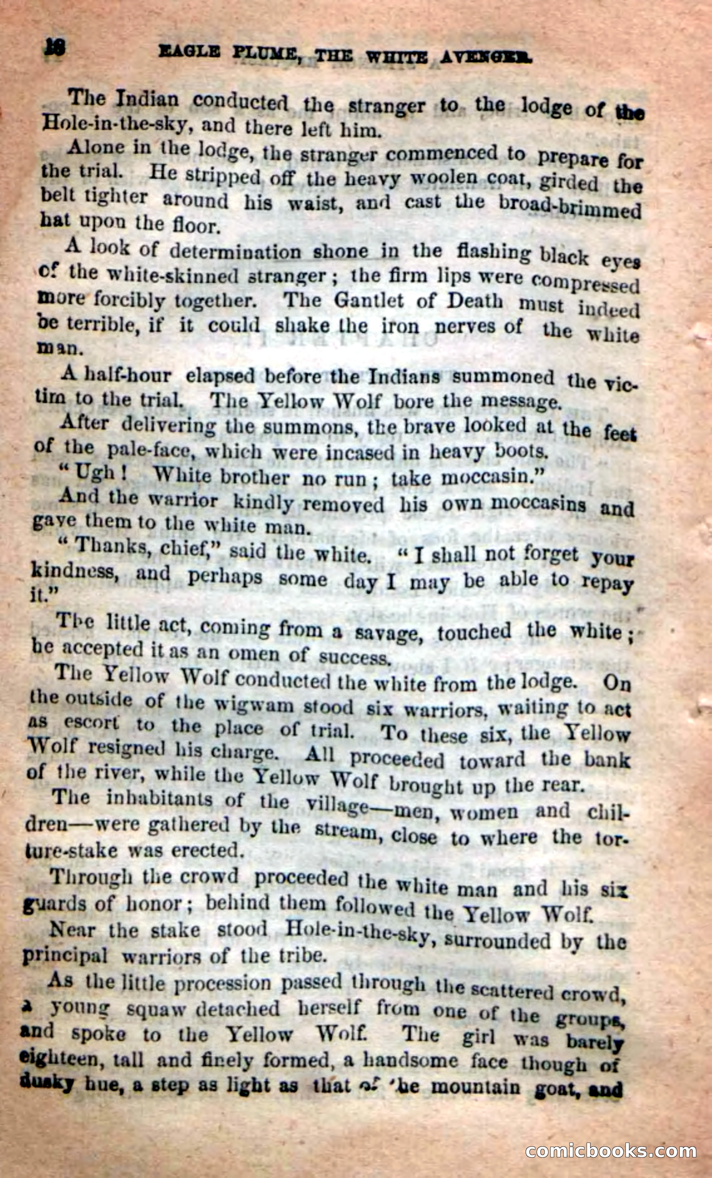 Beadle's New Dime Novels: Eagle Plume — page 14 of 98