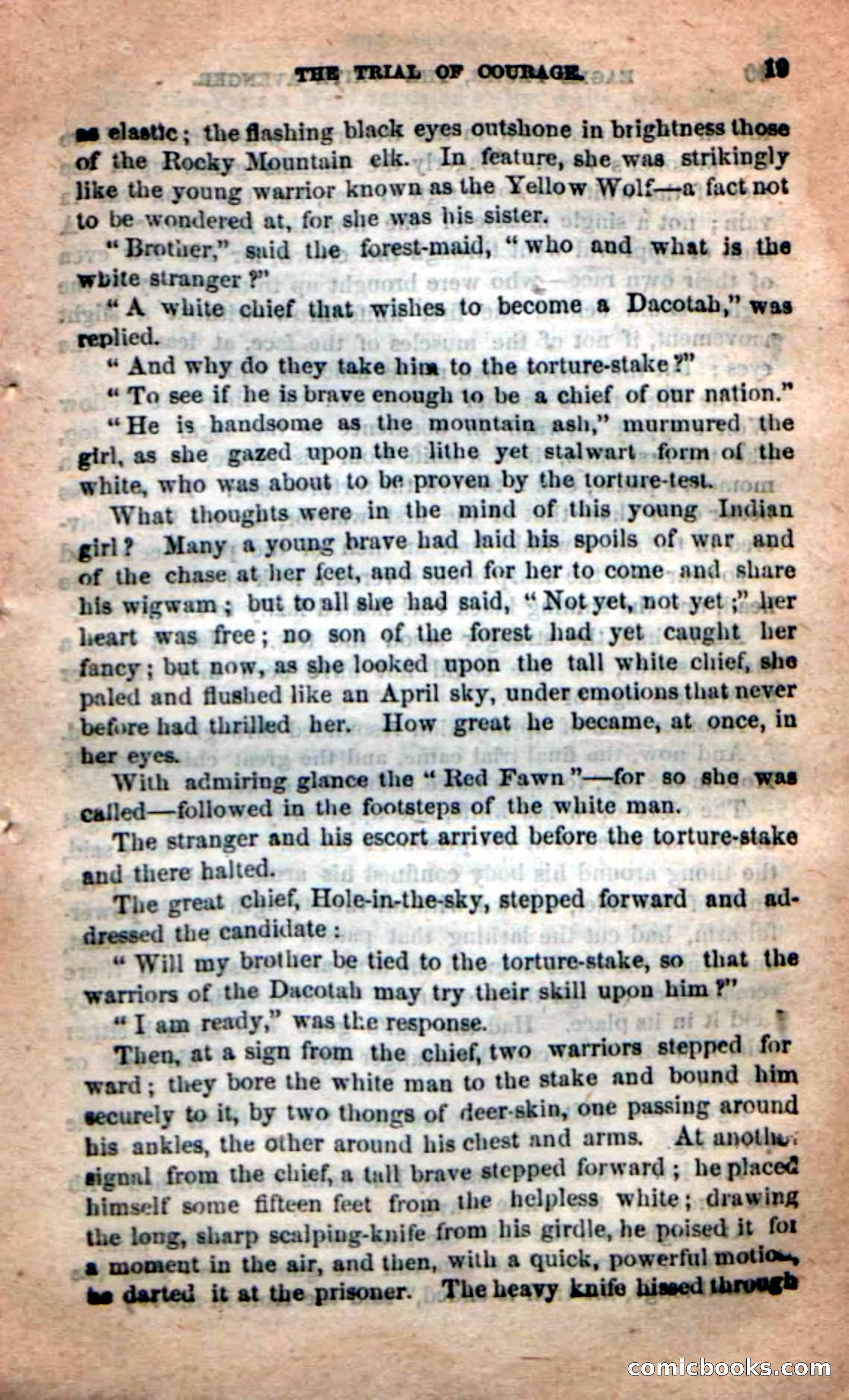 Beadle's New Dime Novels: Eagle Plume — page 15 of 98